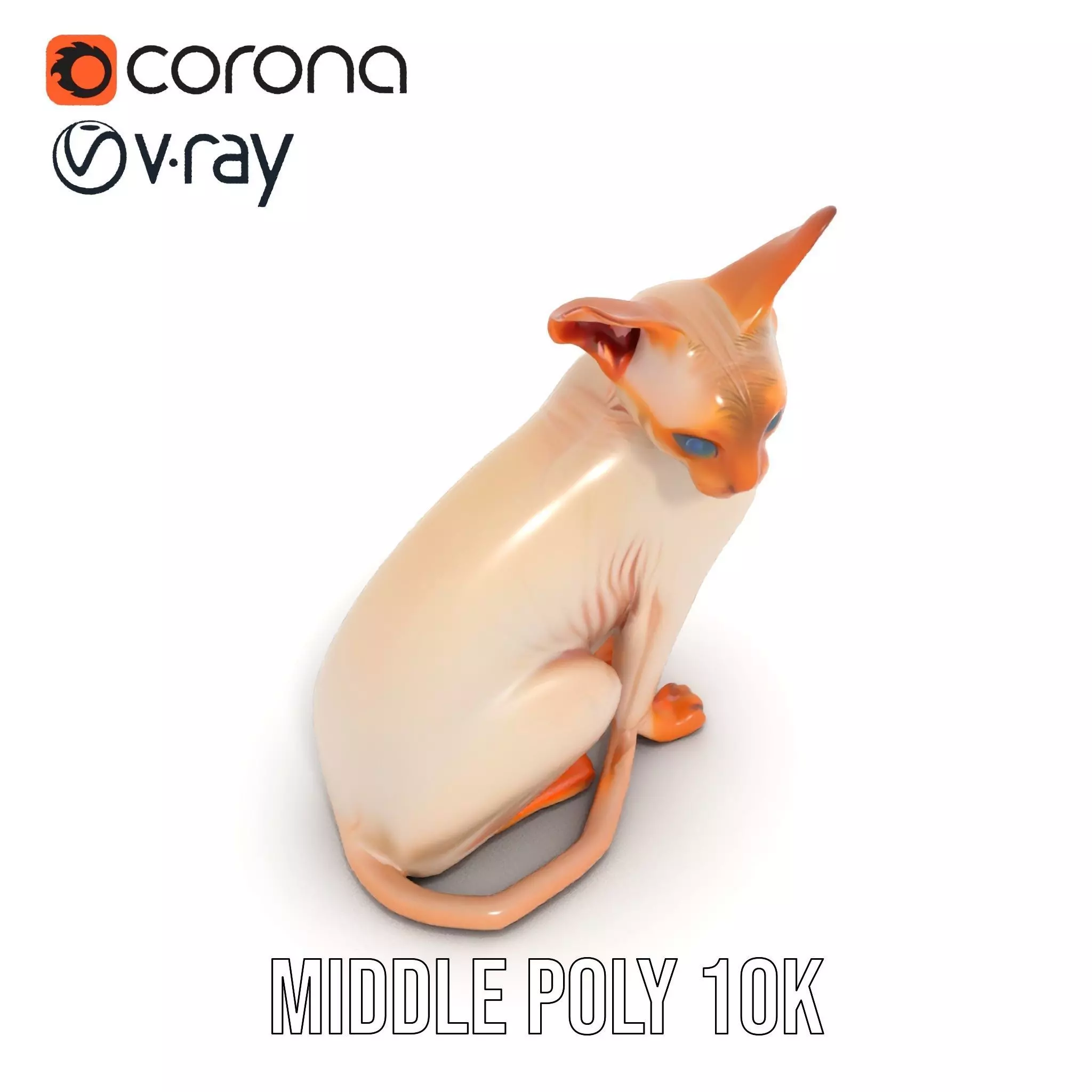 Sphynx Cat Elegance model pack Low-poly 3D model_6