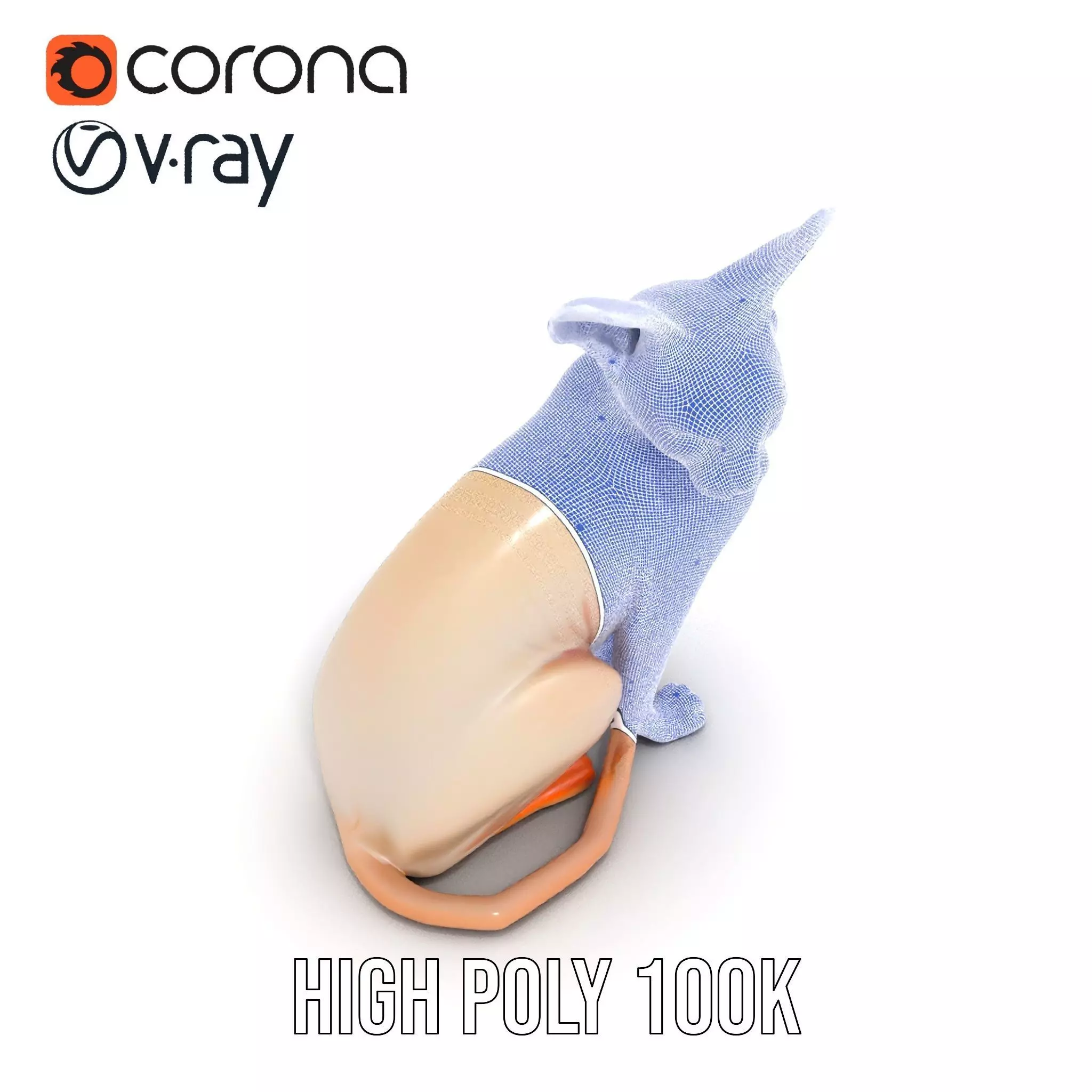 Sphynx Cat Elegance model pack Low-poly 3D model_33