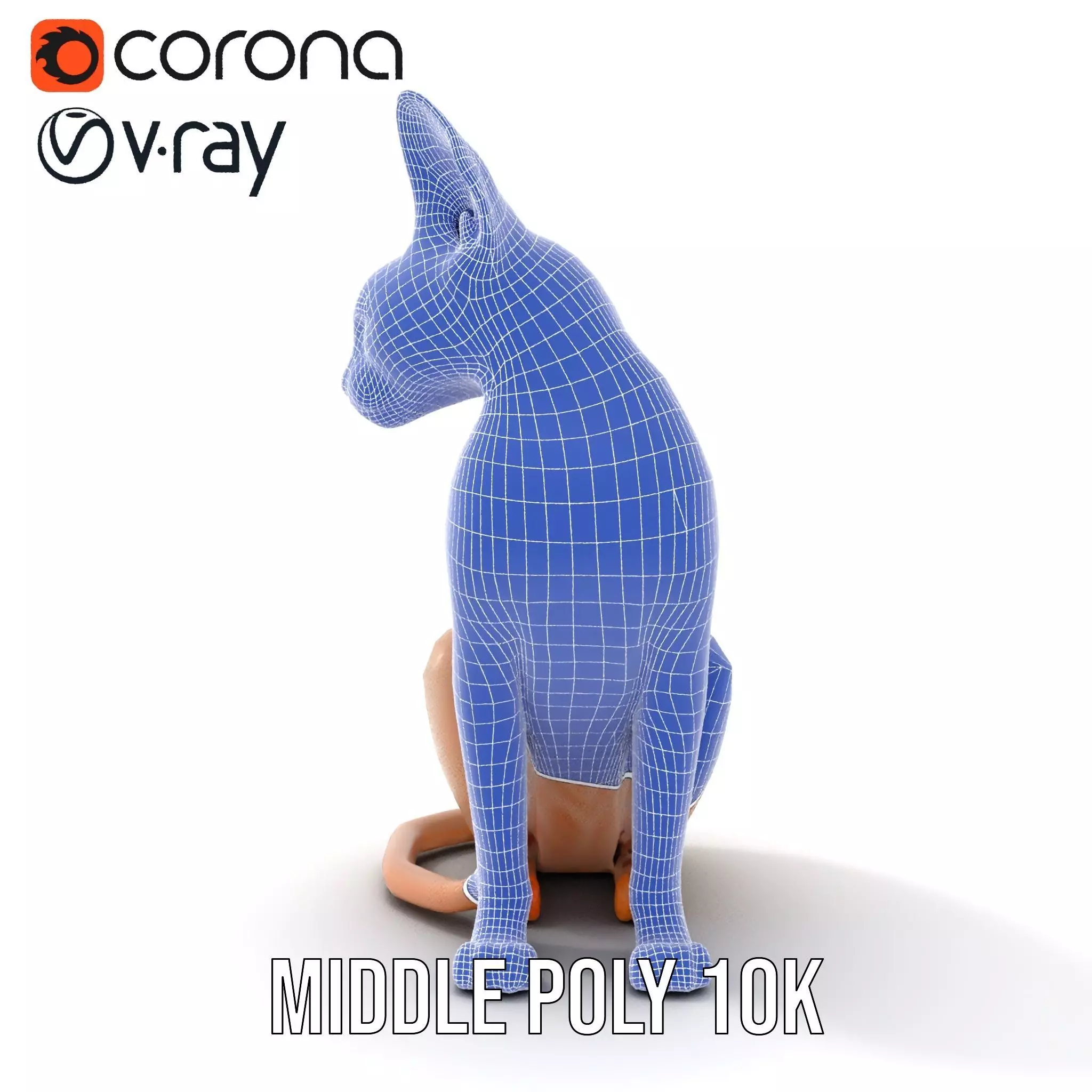 Sphynx Cat Elegance model pack Low-poly 3D model_24