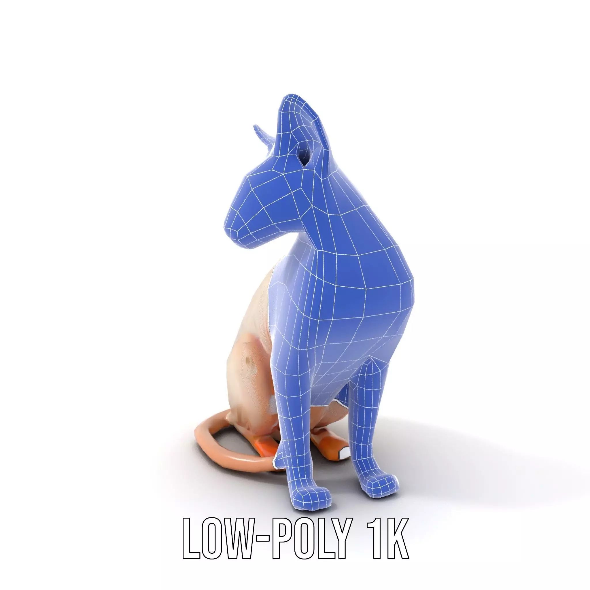 Sphynx Cat Elegance model pack Low-poly 3D model_12