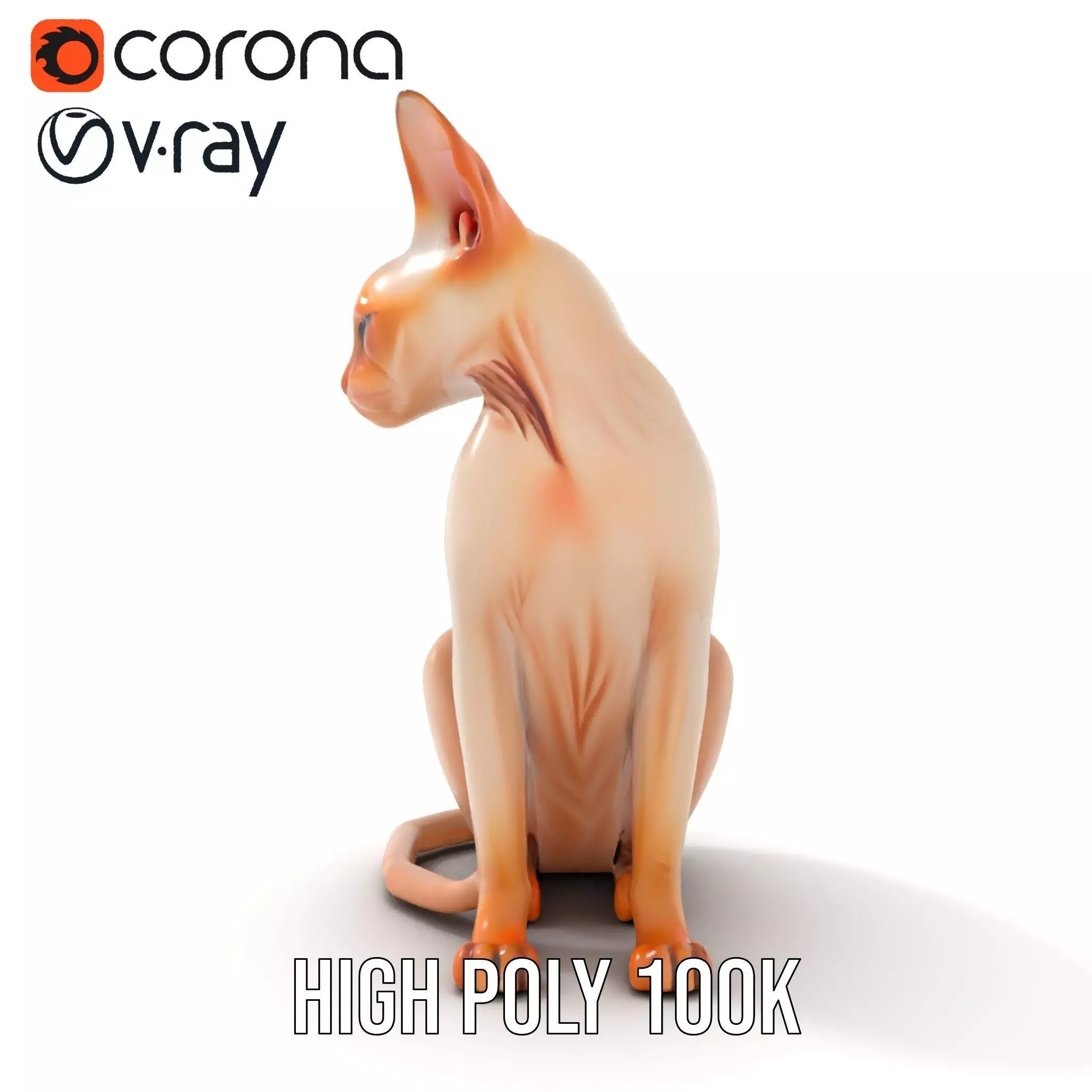 Sphynx Cat Elegance model pack Low-poly 3D model_17