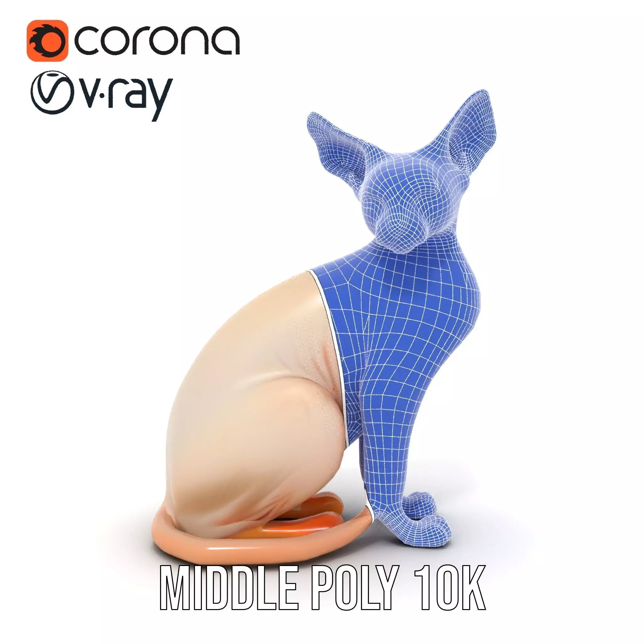 Sphynx Cat Elegance model pack Low-poly 3D model_18