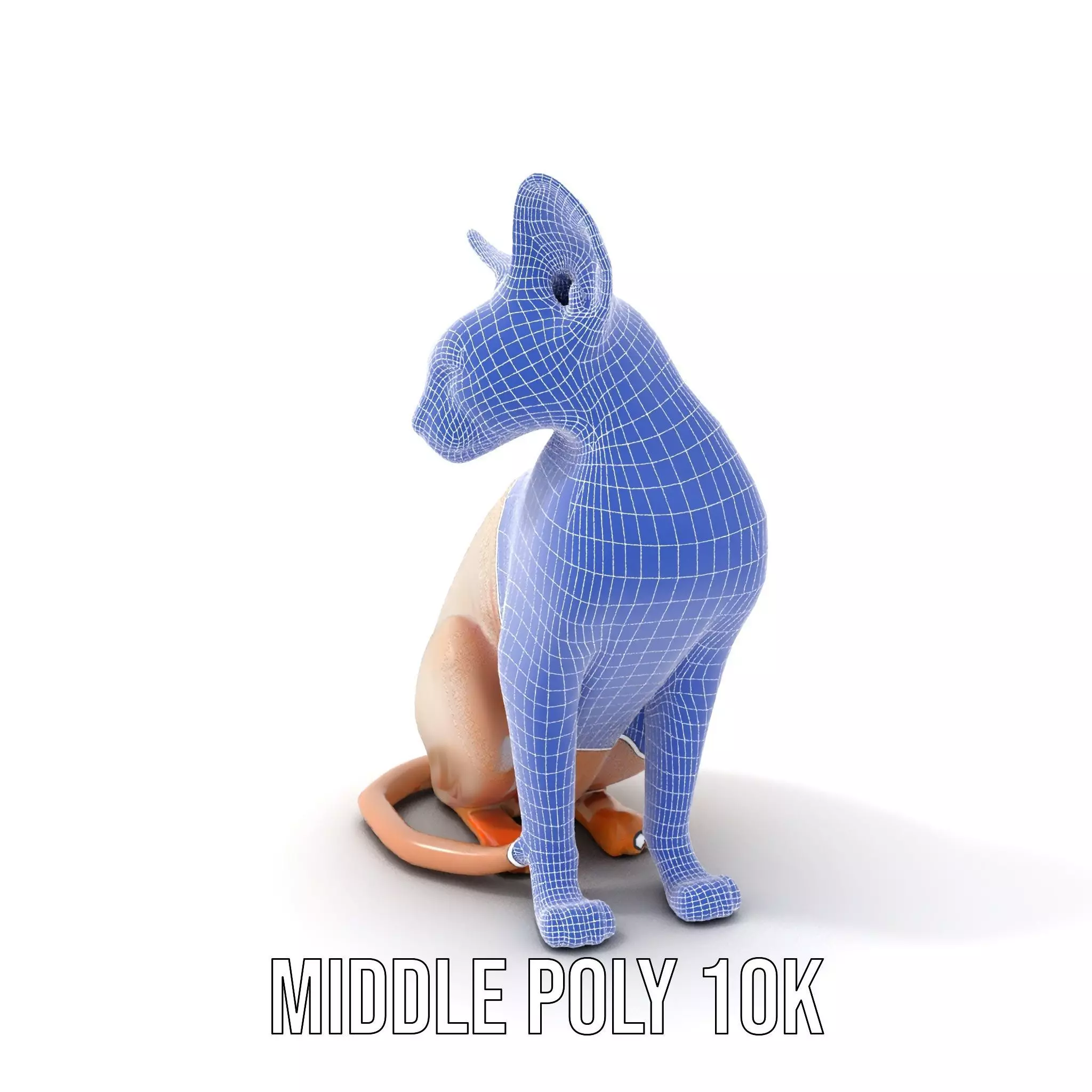 Sphynx Cat Elegance model pack Low-poly 3D model_21