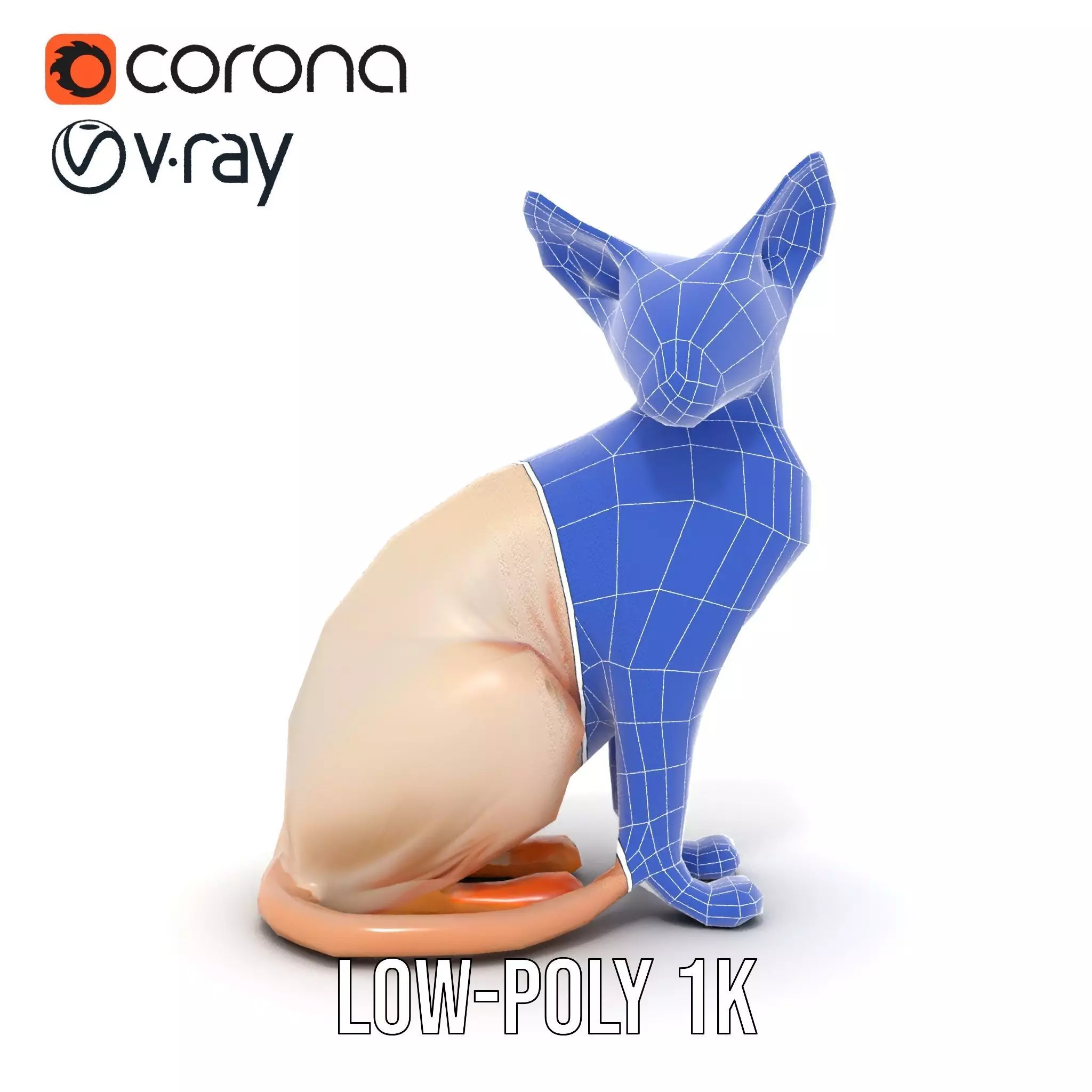 Sphynx Cat Elegance model pack Low-poly 3D model_30