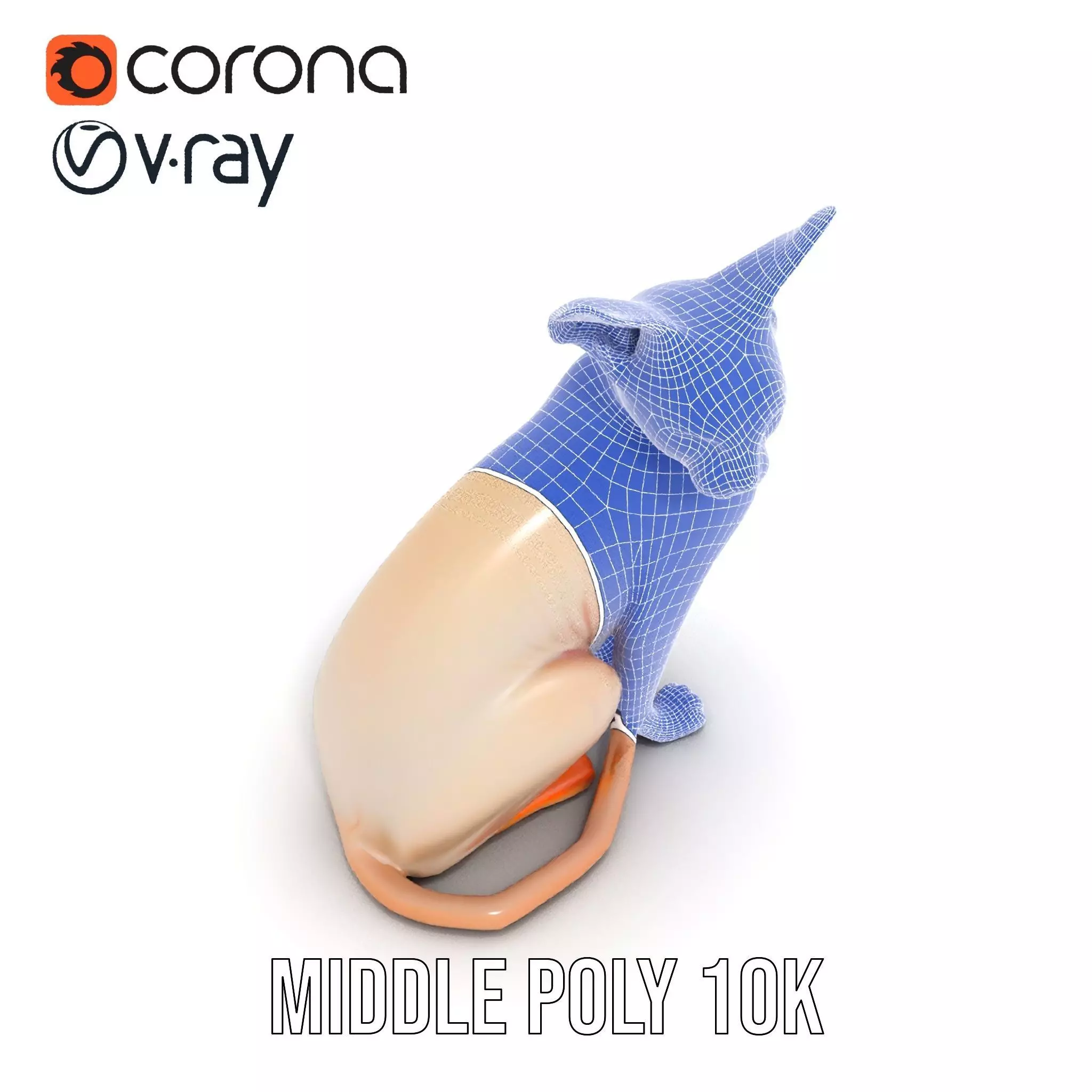 Sphynx Cat Elegance model pack Low-poly 3D model_13