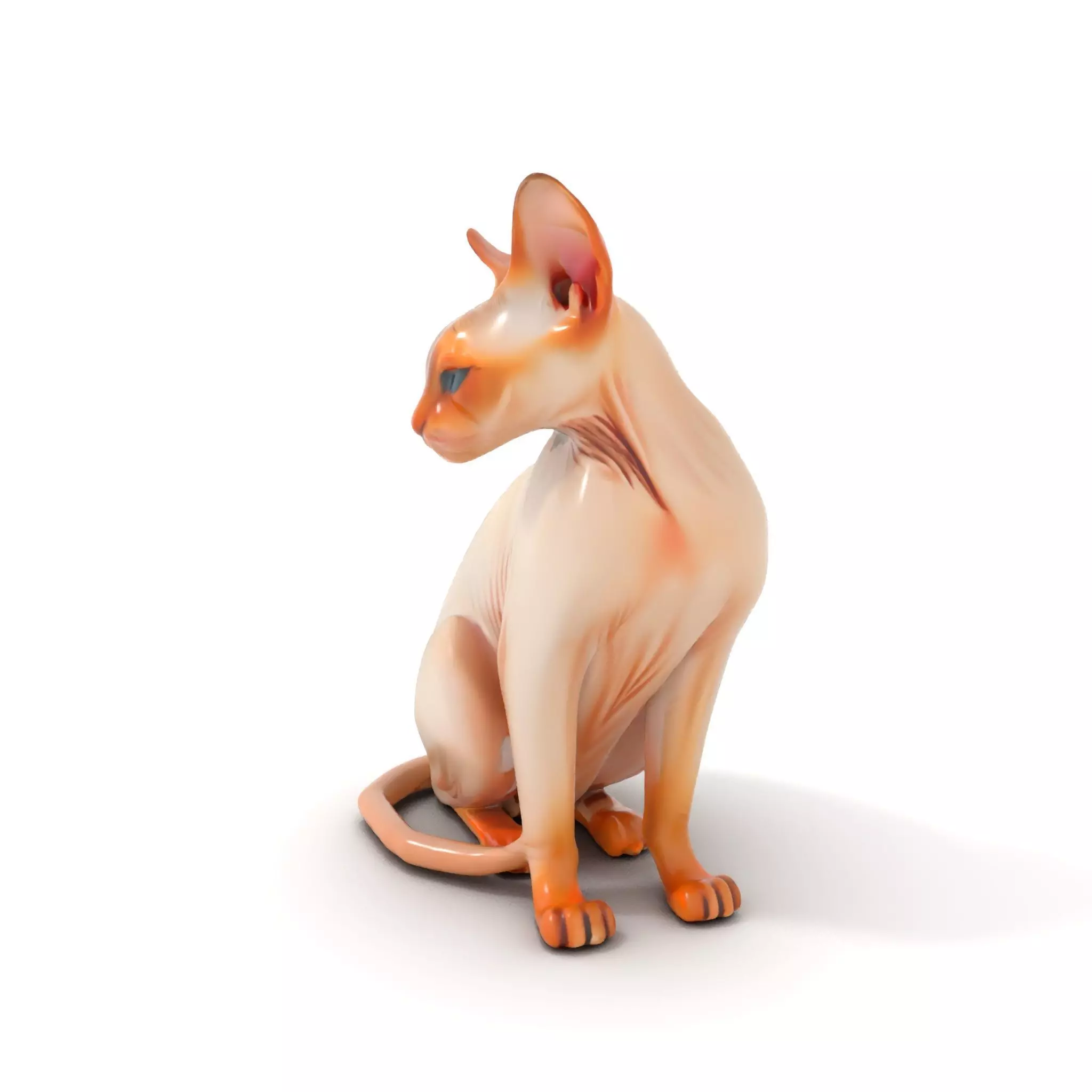 Sphynx Cat Elegance model pack Low-poly 3D model_0