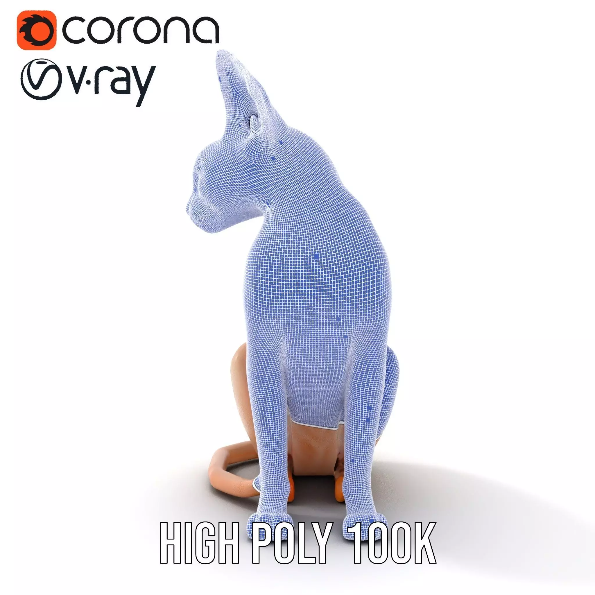 Sphynx Cat Elegance model pack Low-poly 3D model_31