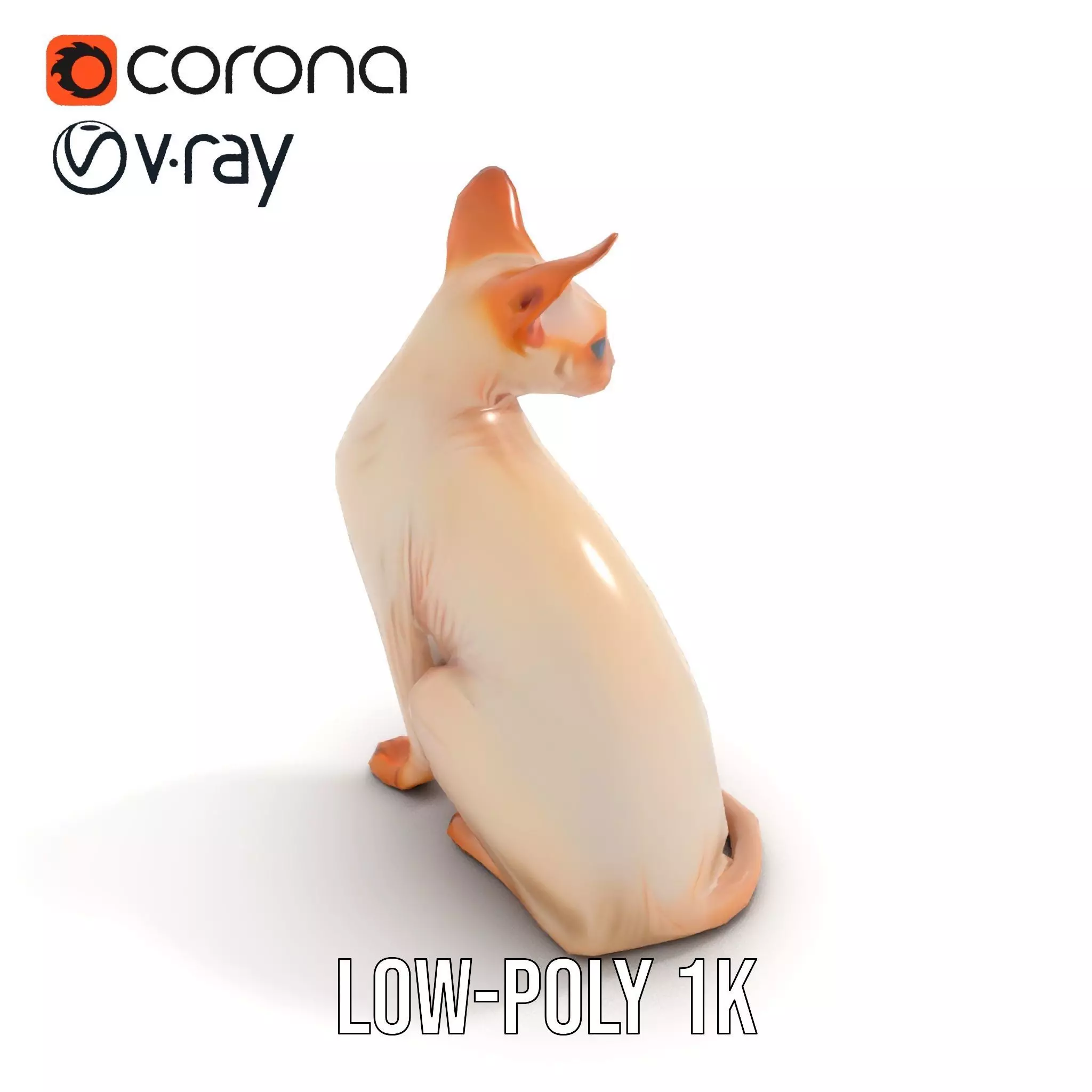 Sphynx Cat Elegance model pack Low-poly 3D model_7