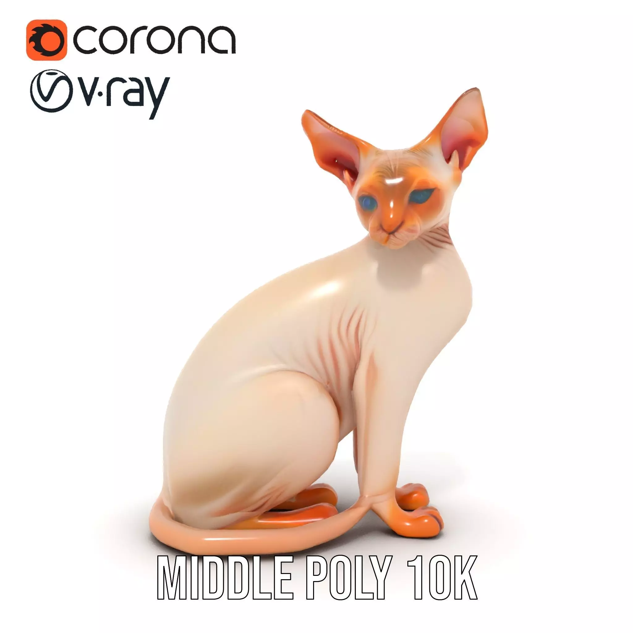 Sphynx Cat Elegance model pack Low-poly 3D model_5