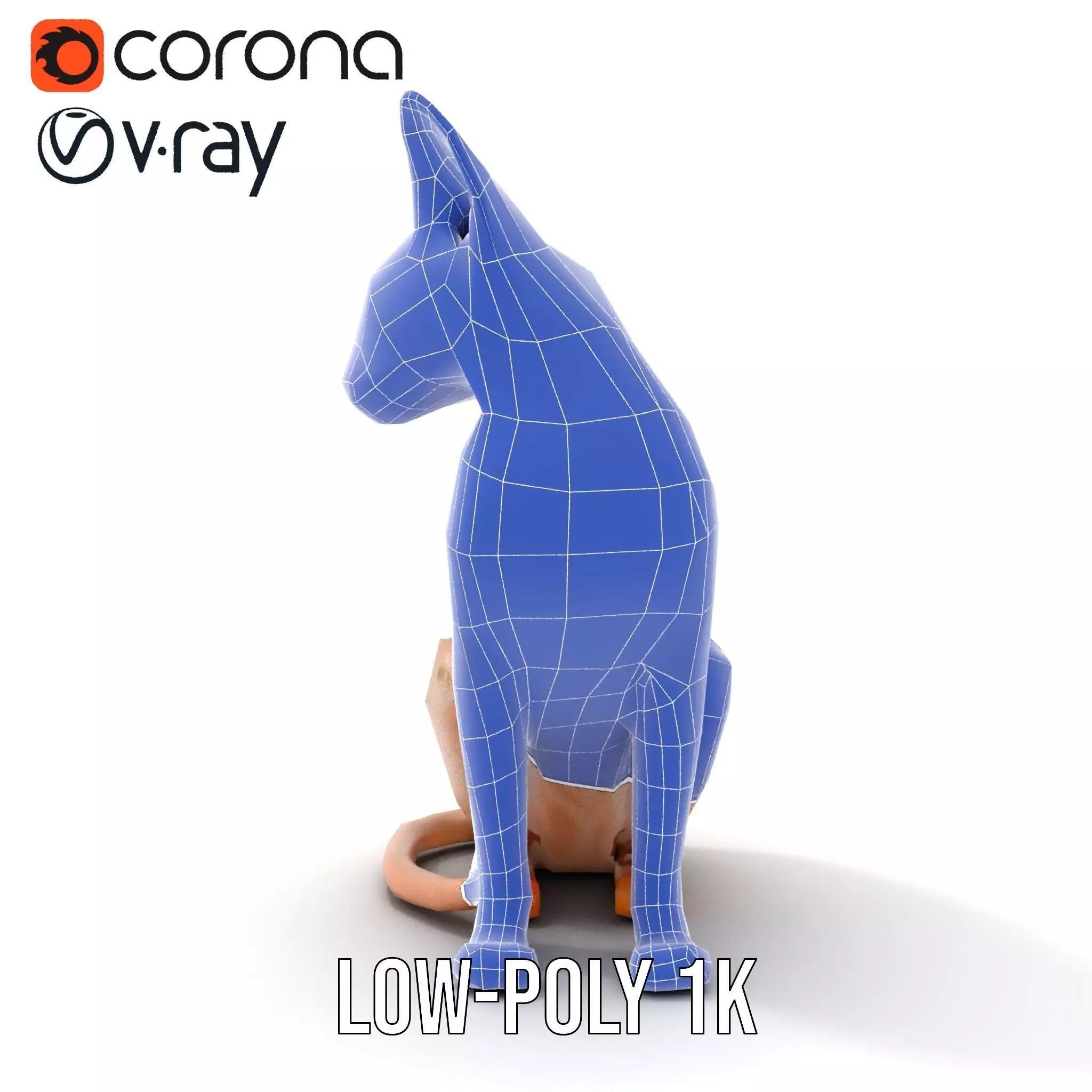 Sphynx Cat Elegance model pack Low-poly 3D model_28