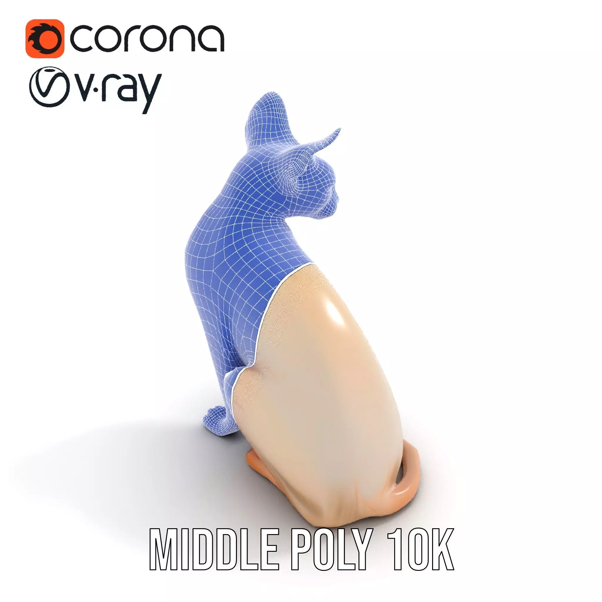 Sphynx Cat Elegance model pack Low-poly 3D model_11