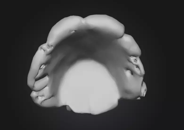 Rustic Tree Chair Low-poly 3D model_19