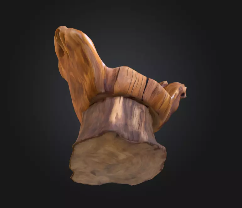 Rustic Tree Chair Low-poly 3D model_12