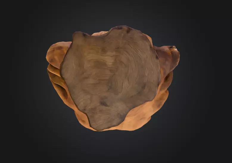 Rustic Tree Chair Low-poly 3D model_15