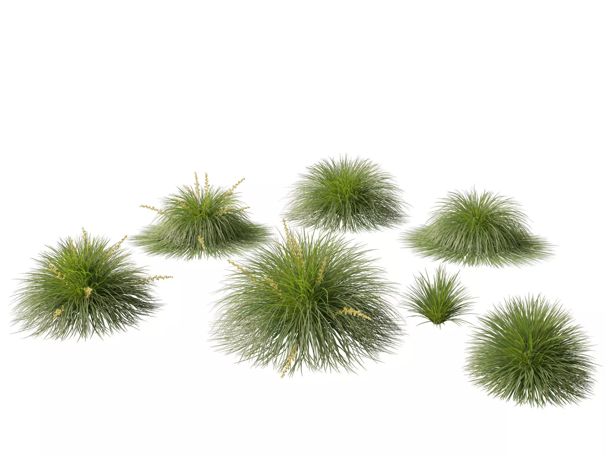 Australian Garden Essentials Pack 30 3D model_18