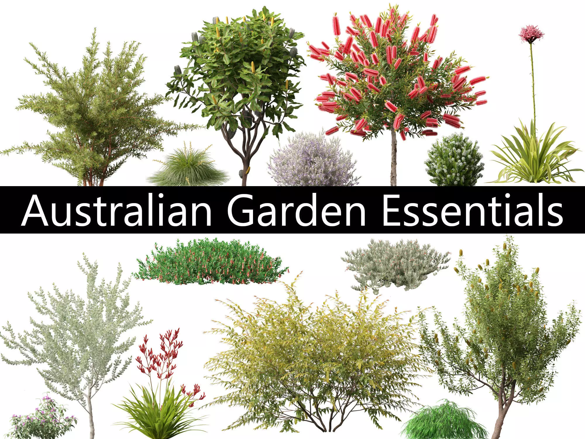 Australian Garden Essentials Pack 30 3D model_0