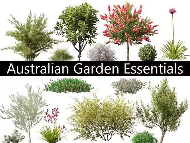 Australian Garden Essentials Pack 30 3D model Australian Garden Essentials Pack 30 3D model