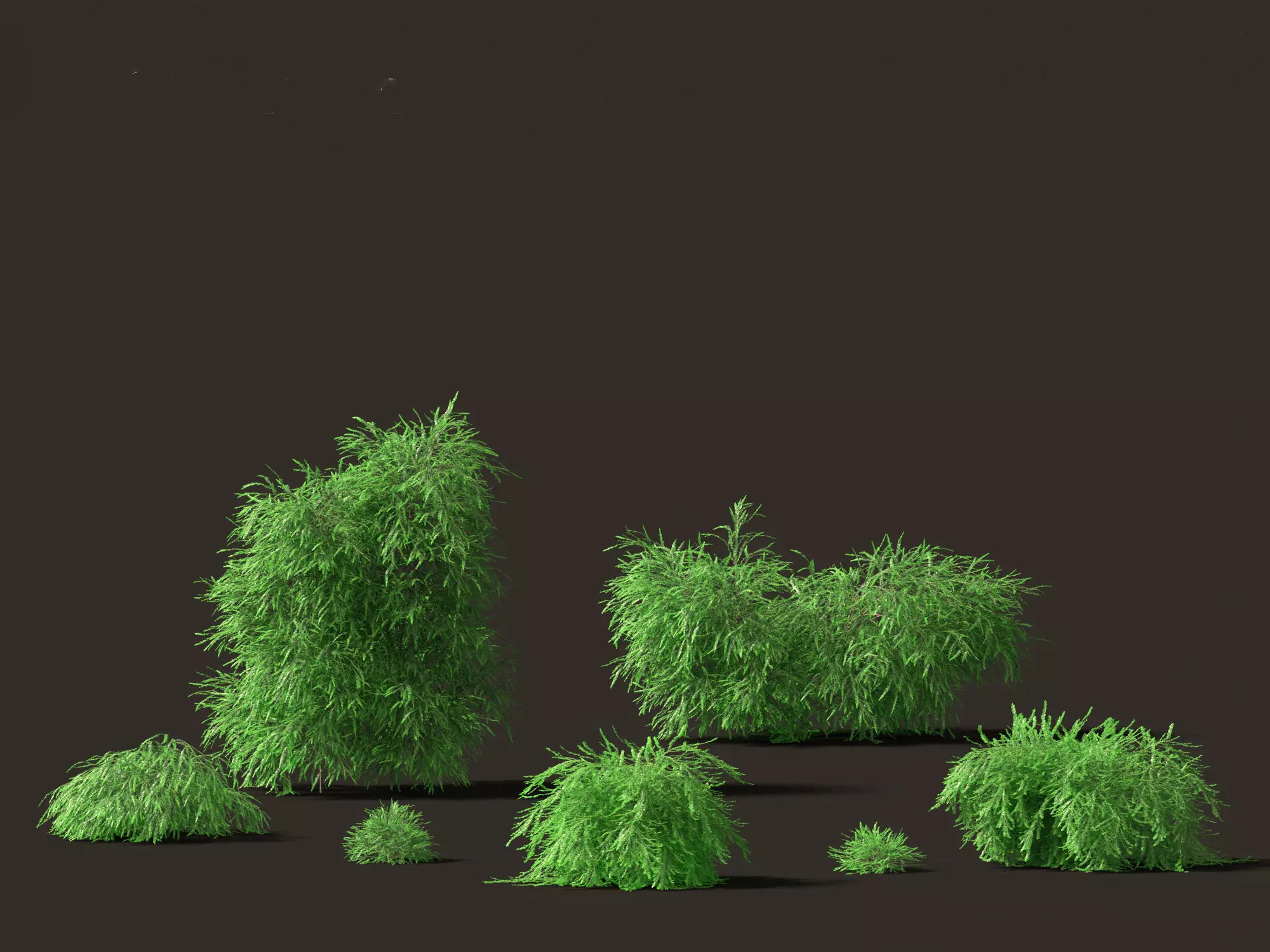 Australian Garden Essentials Pack 30 3D model_21