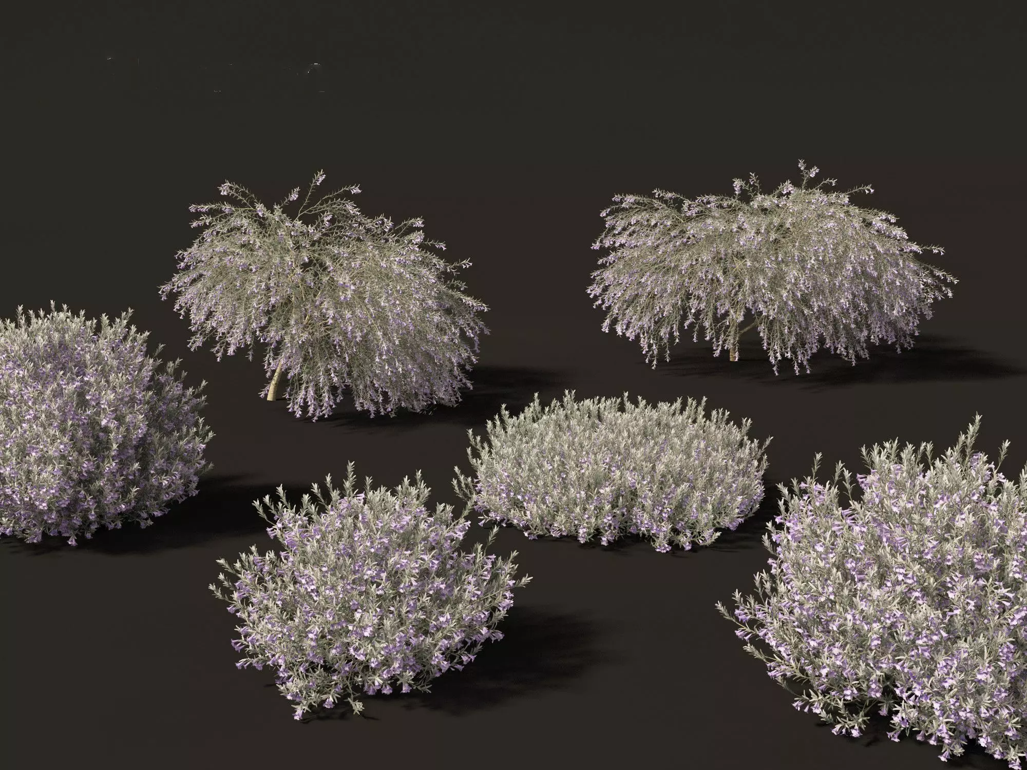 Australian Garden Essentials Pack 30 3D model_15