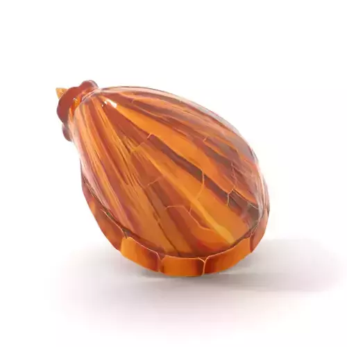 Elegant Seashell model pack Low-poly 3D model