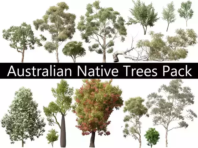 Australian Native Trees Pack 31