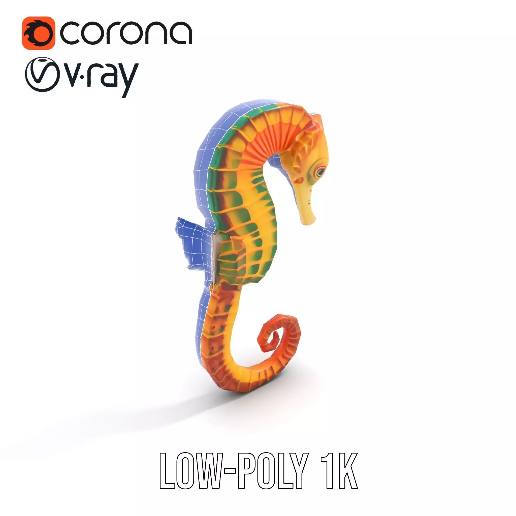 Vibrant Seahorse model pack Low-poly 3D model_12