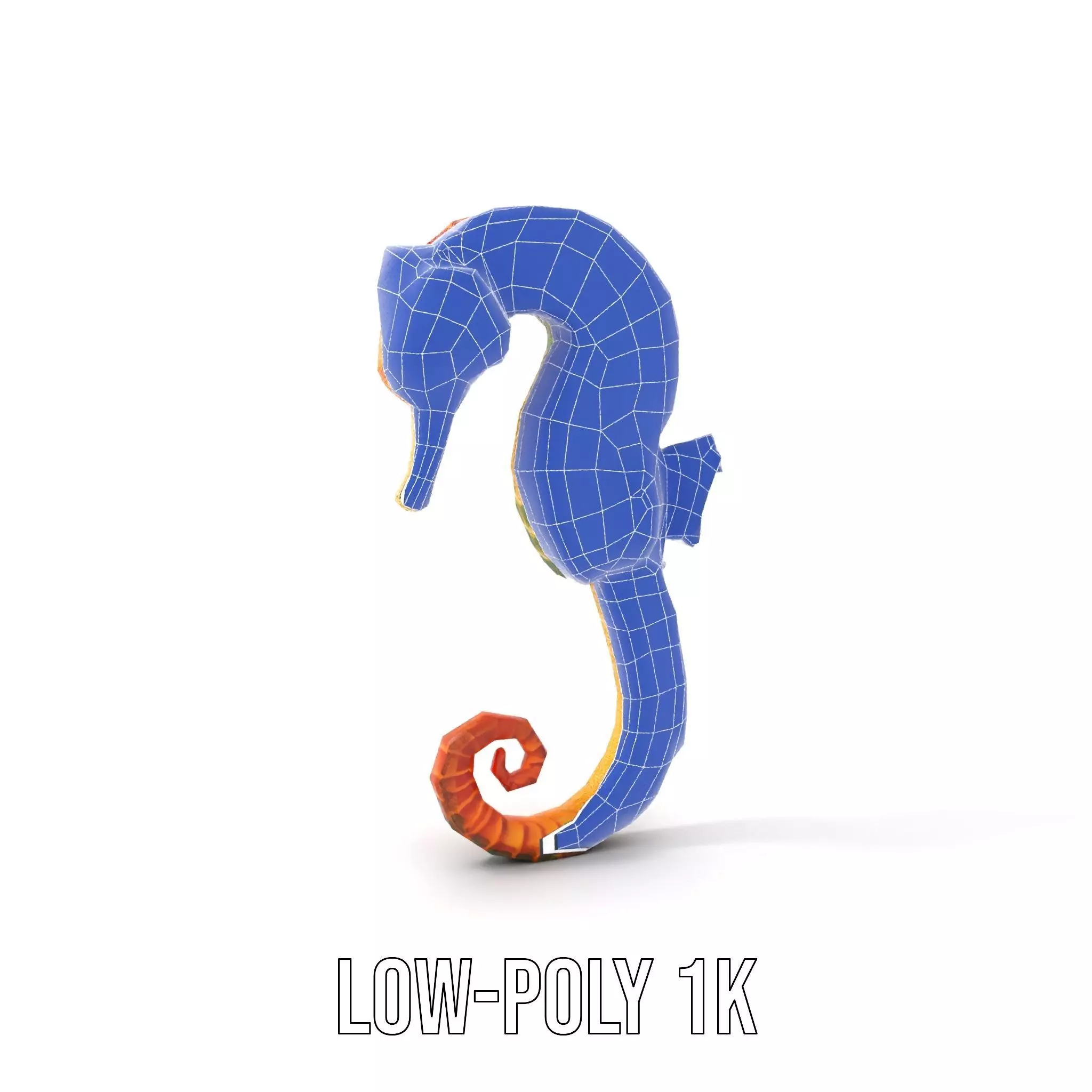 Vibrant Seahorse model pack Low-poly 3D model_24