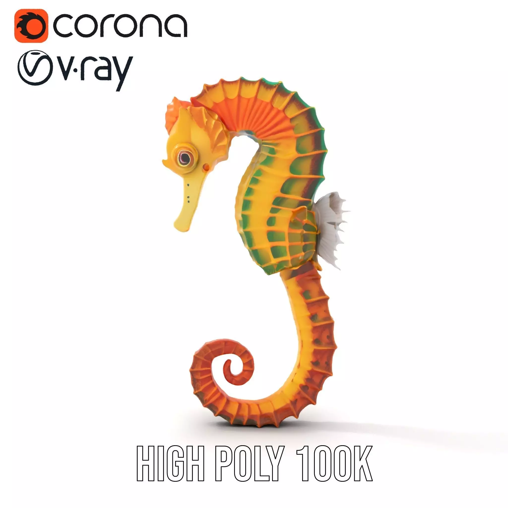 Vibrant Seahorse model pack Low-poly 3D model_28