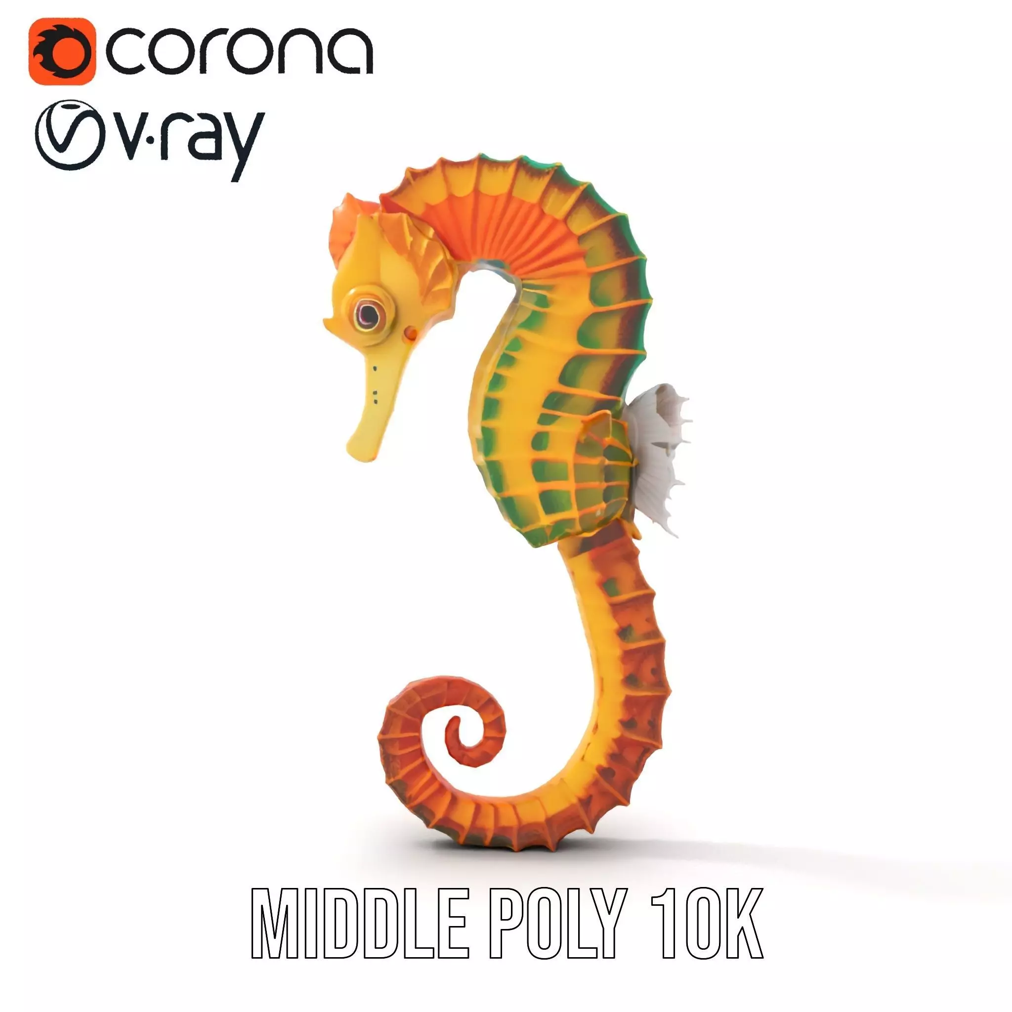 Vibrant Seahorse model pack Low-poly 3D model_13