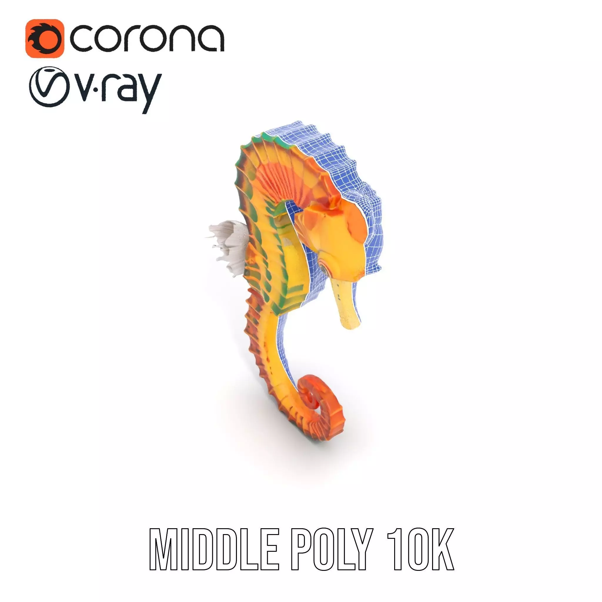 Vibrant Seahorse model pack Low-poly 3D model_18
