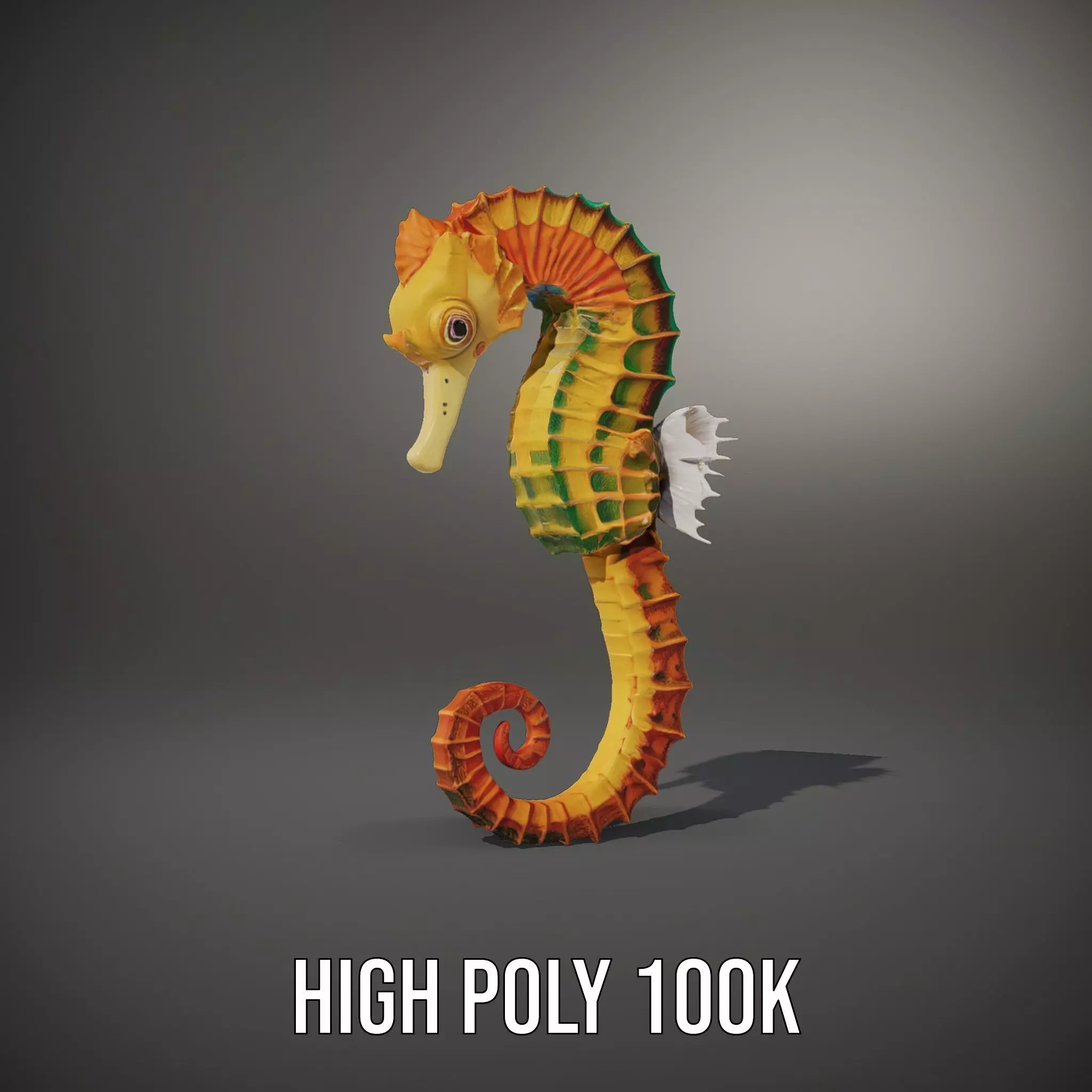 Vibrant Seahorse model pack Low-poly 3D model_10