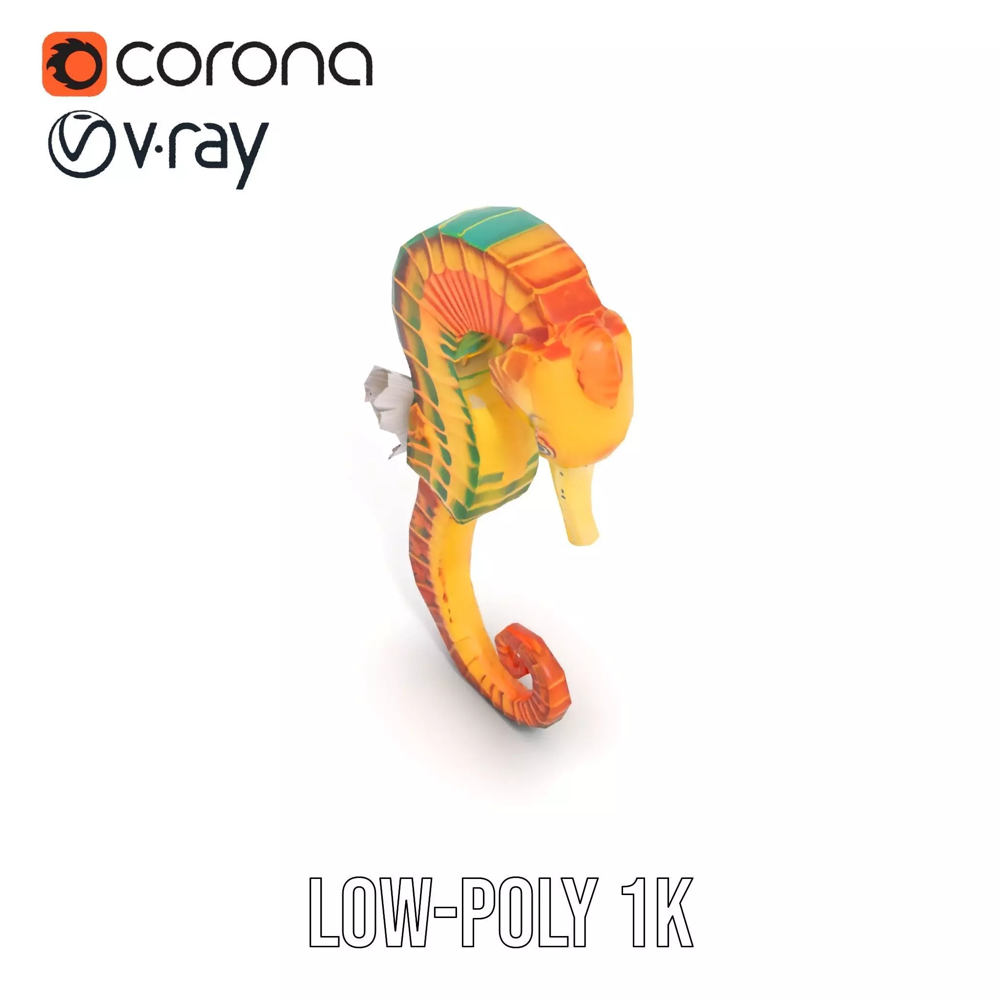 Vibrant Seahorse model pack Low-poly 3D model_19