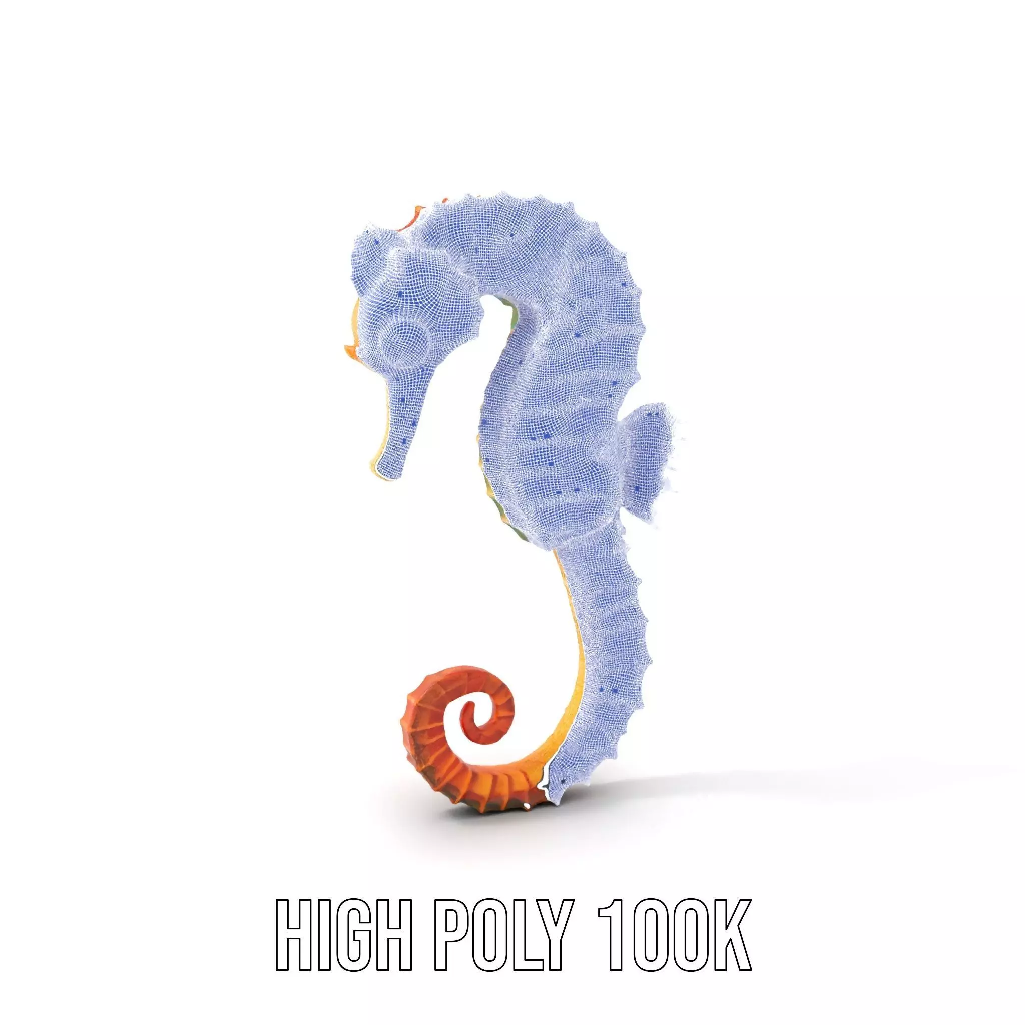 Vibrant Seahorse model pack Low-poly 3D model_4