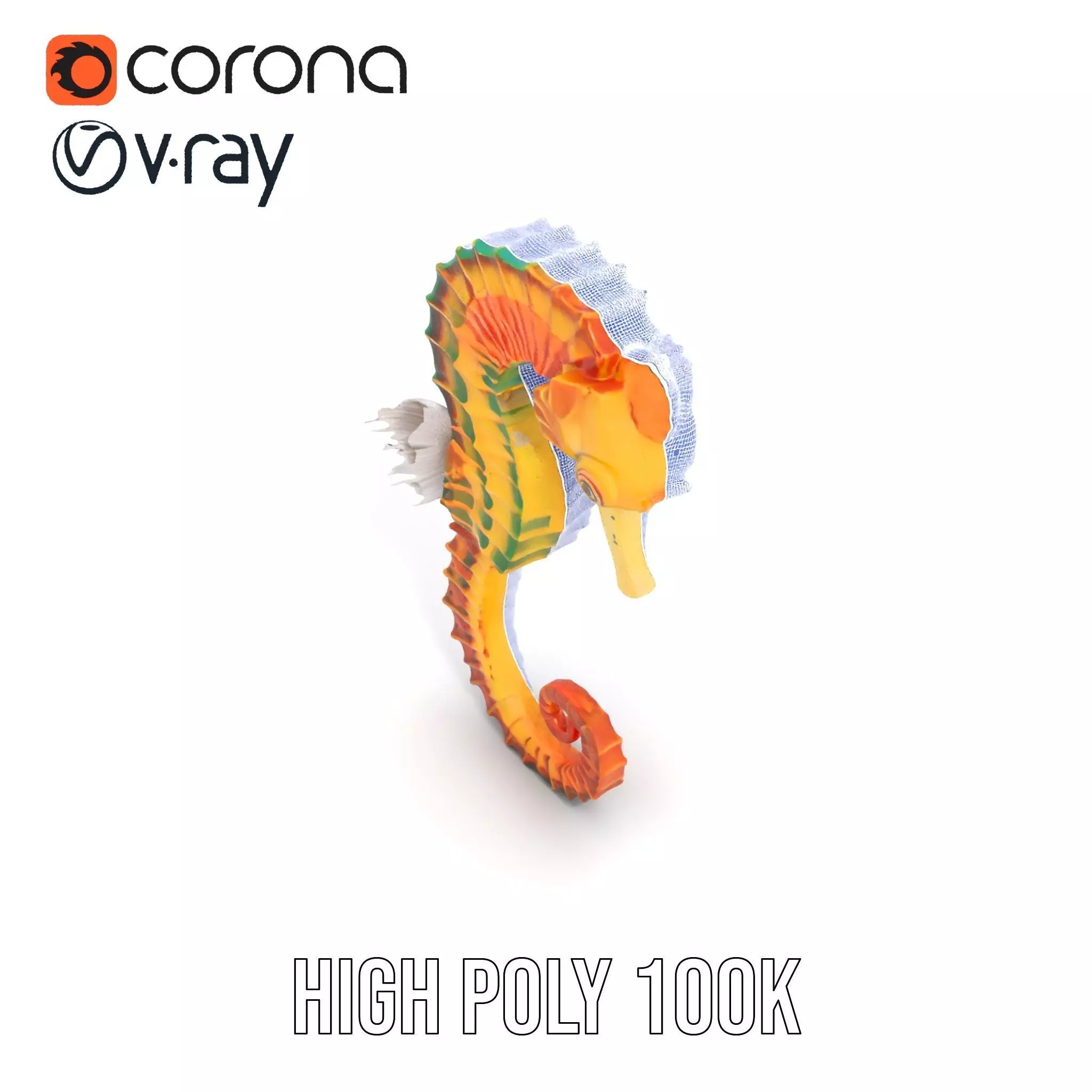Vibrant Seahorse model pack Low-poly 3D model_31