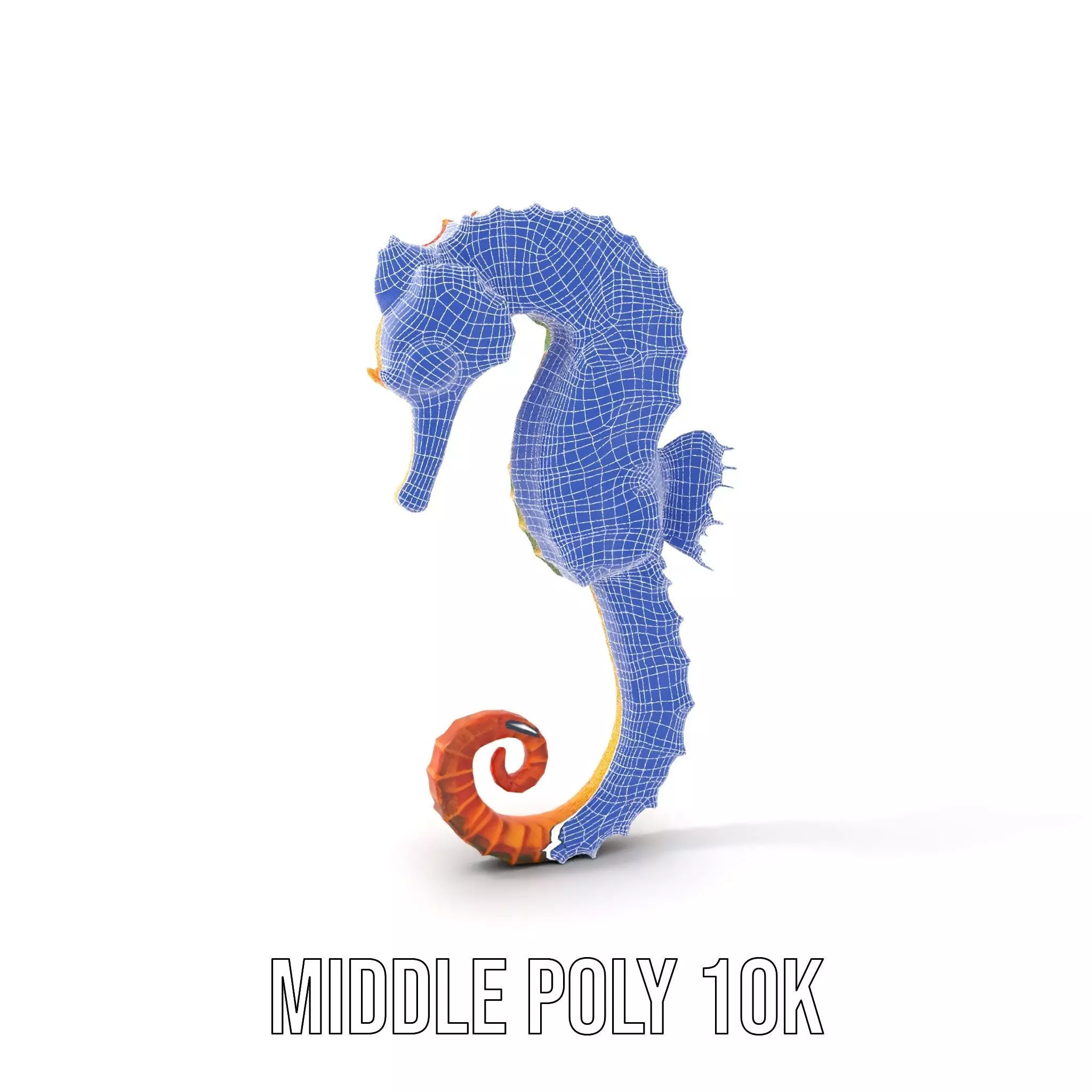 Vibrant Seahorse model pack Low-poly 3D model_15