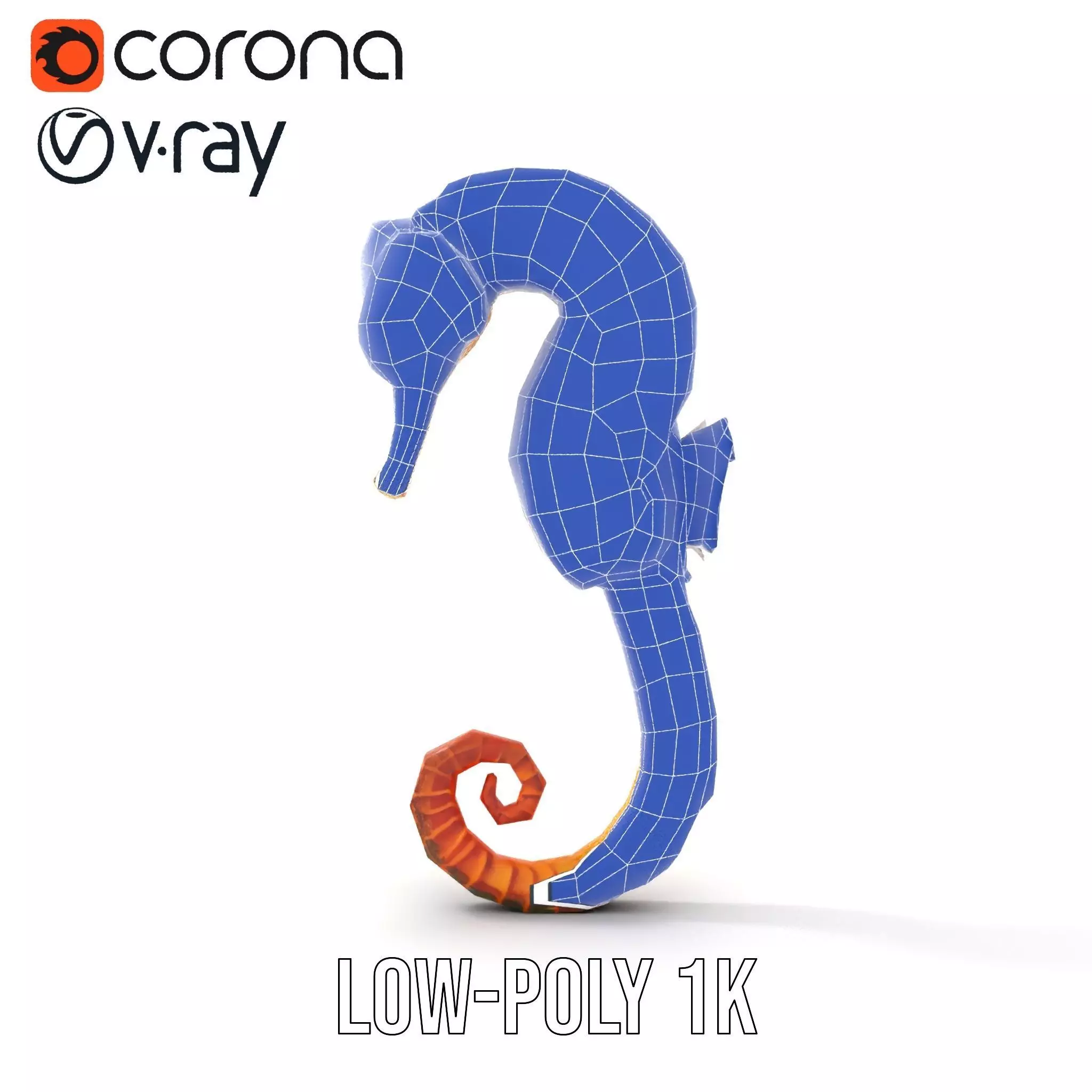 Vibrant Seahorse model pack Low-poly 3D model_27
