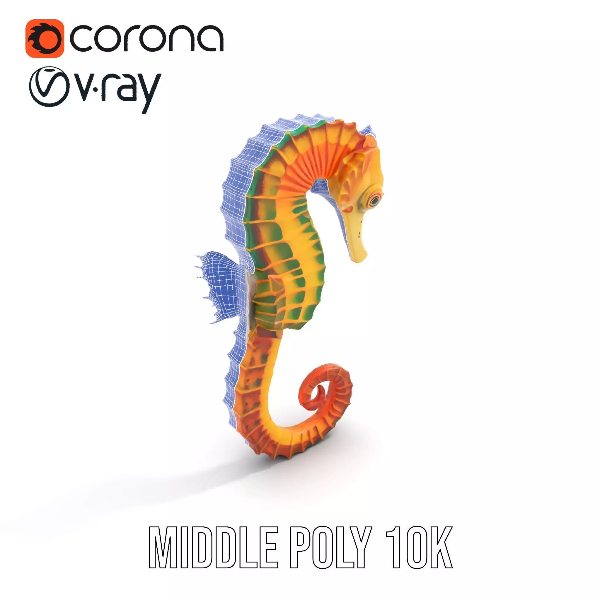 Vibrant Seahorse model pack Low-poly 3D model_29
