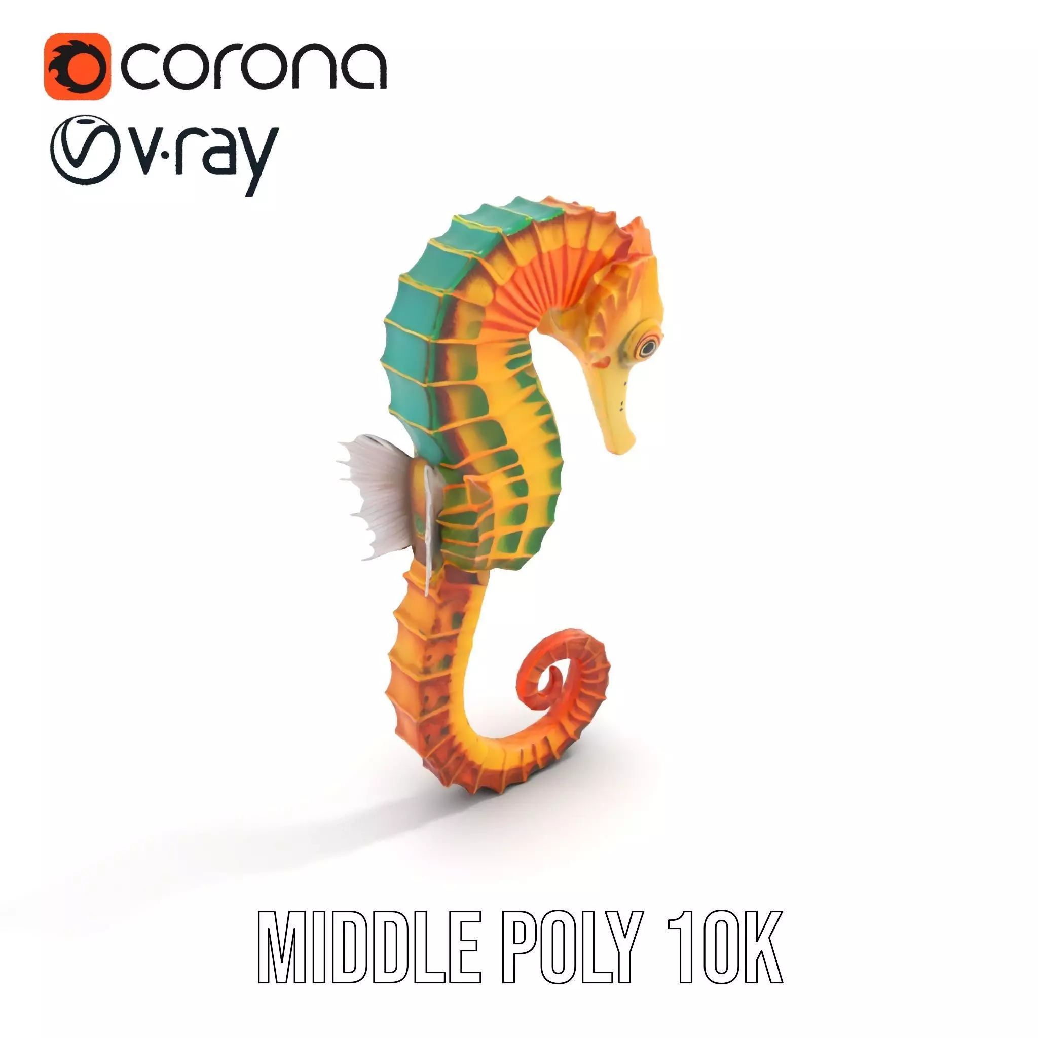 Vibrant Seahorse model pack Low-poly 3D model_11