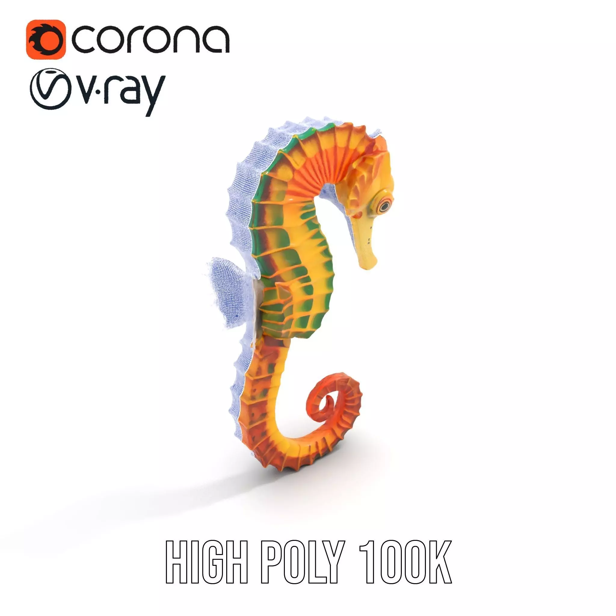 Vibrant Seahorse model pack Low-poly 3D model_32