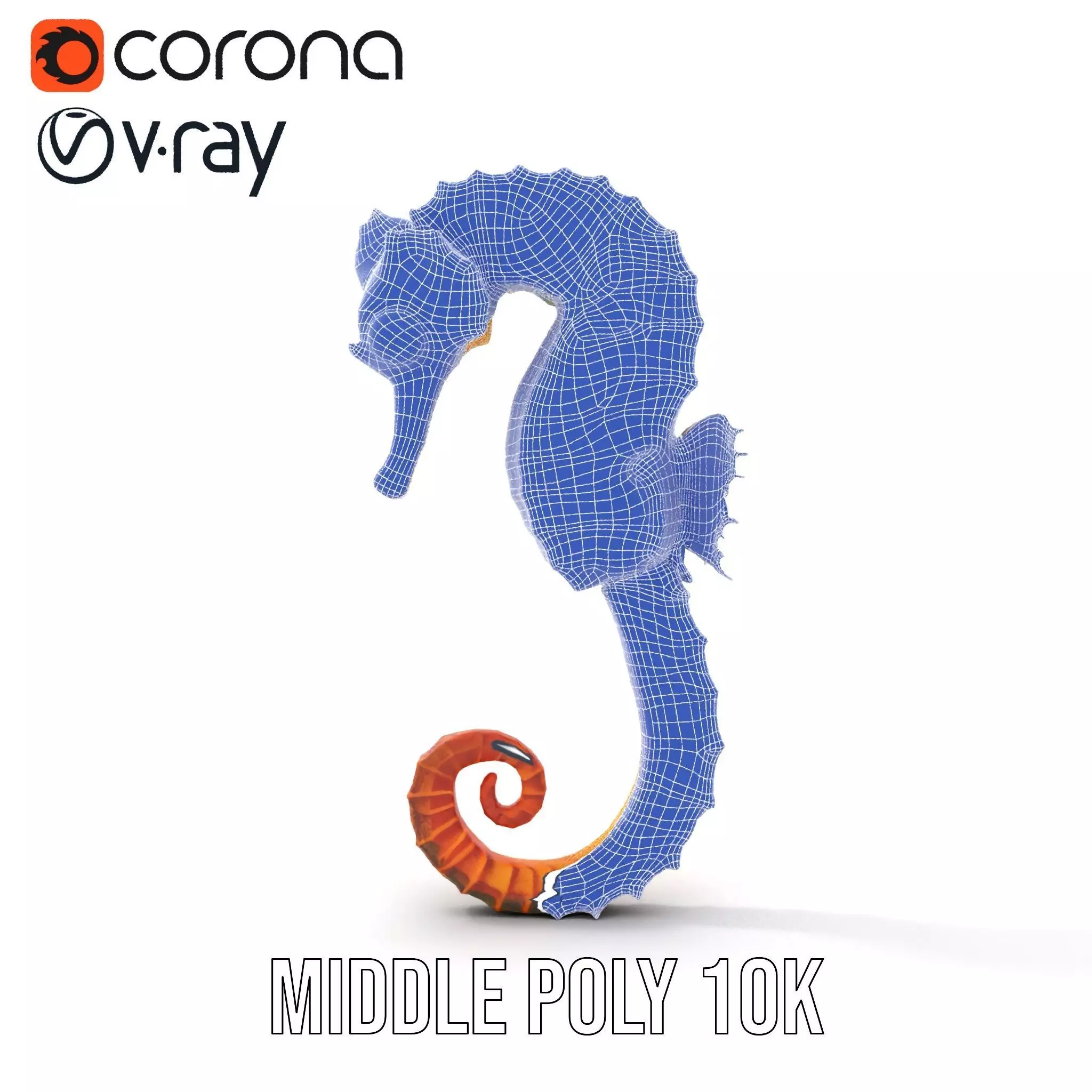 Vibrant Seahorse model pack Low-poly 3D model_23