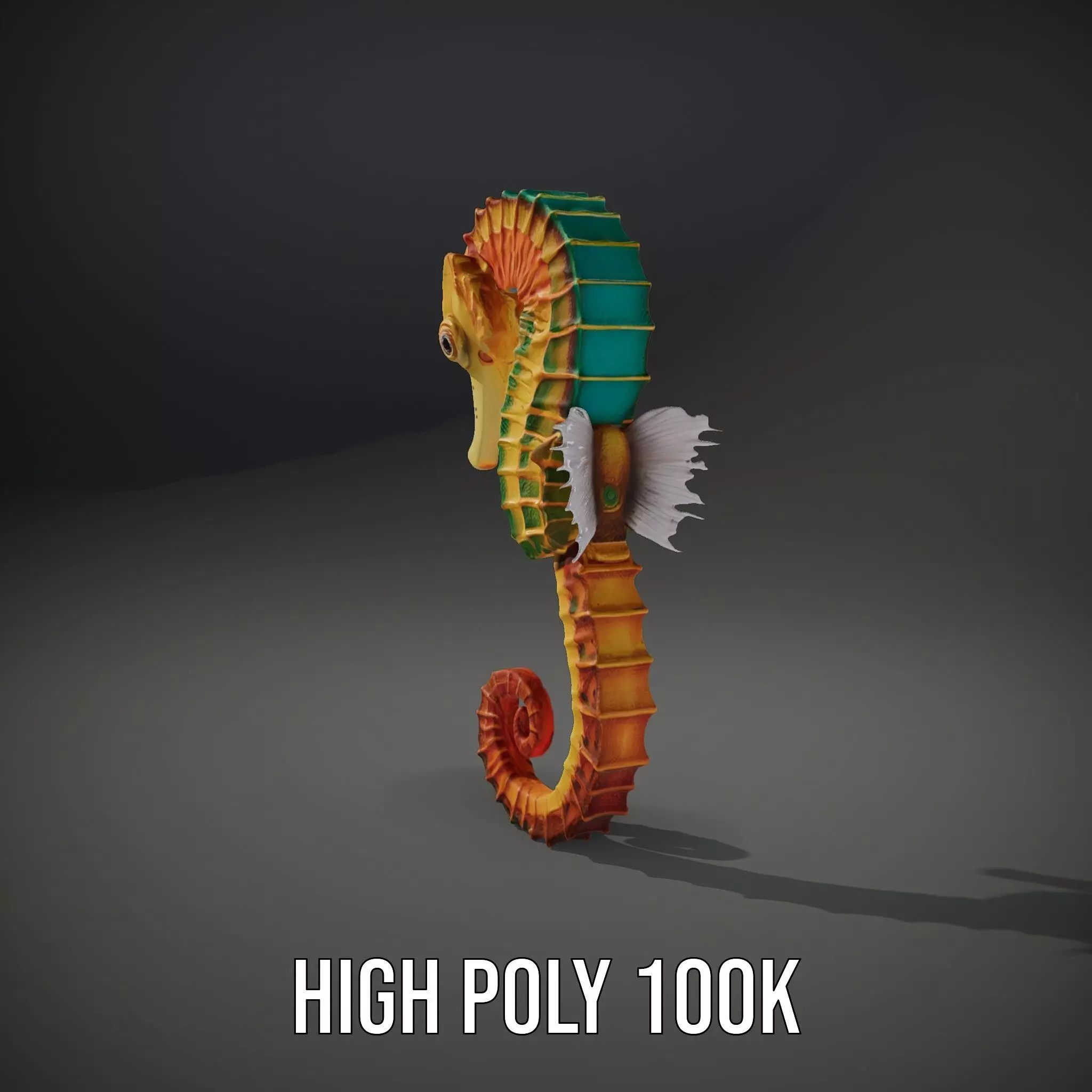 Vibrant Seahorse model pack Low-poly 3D model_8