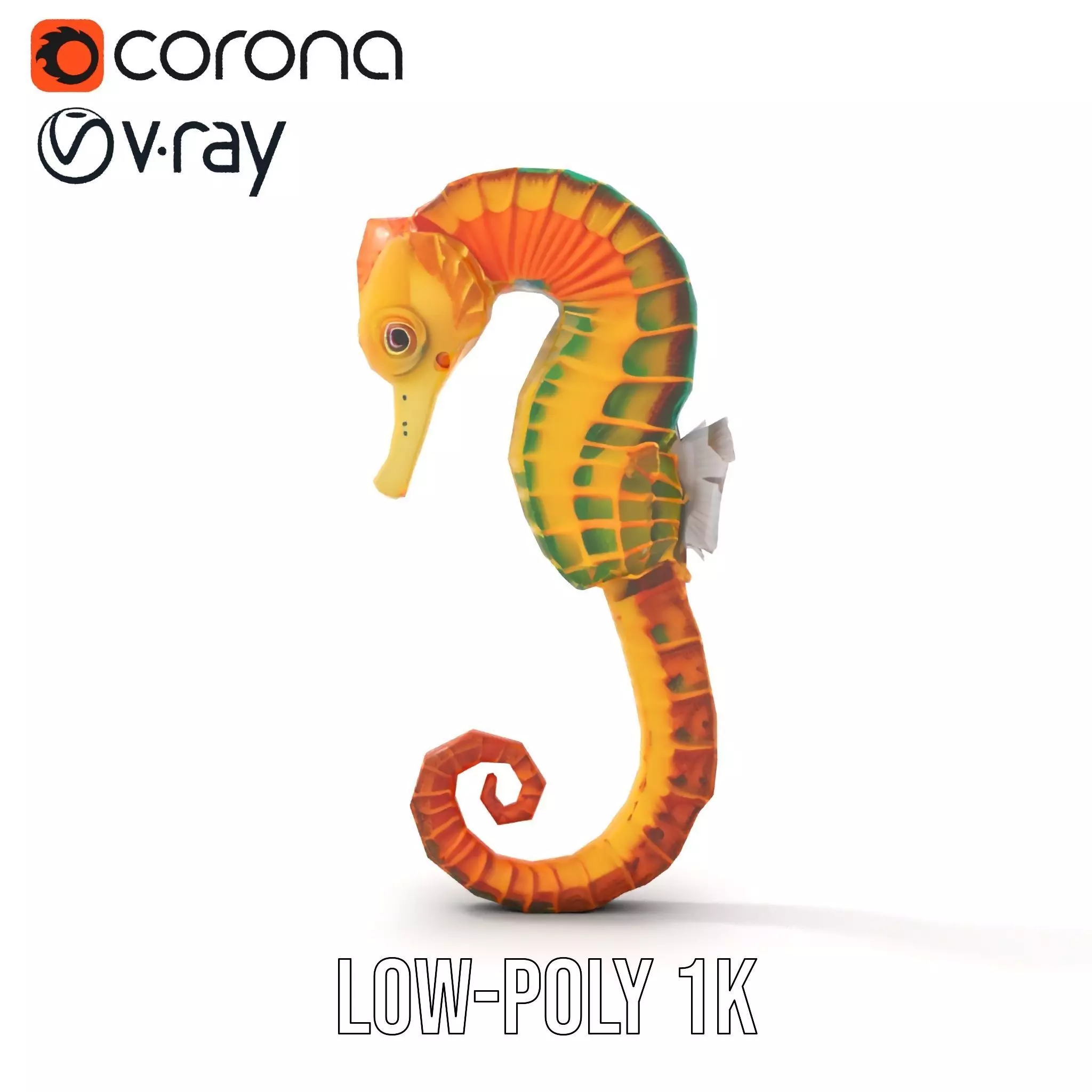 Vibrant Seahorse model pack Low-poly 3D model_14