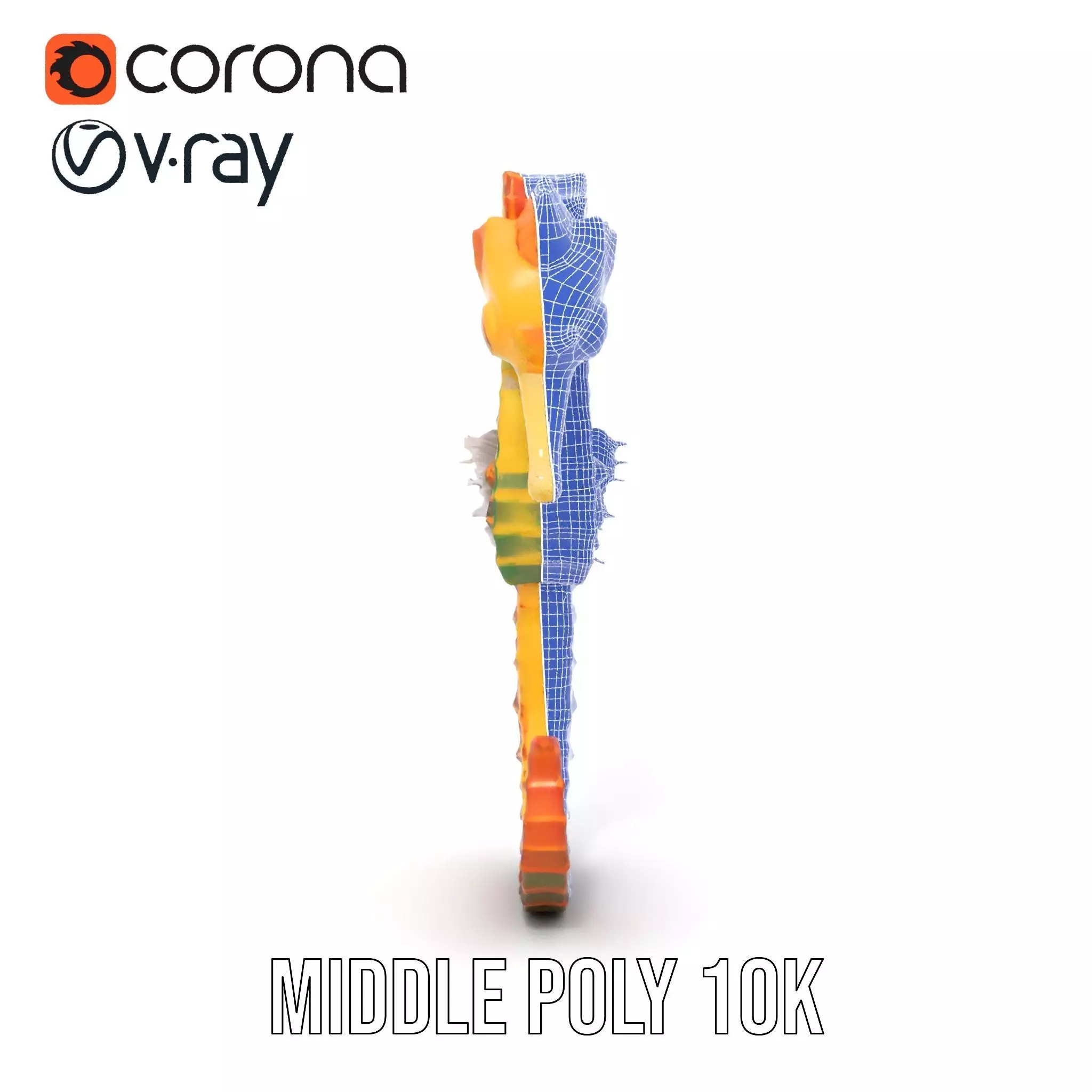 Vibrant Seahorse model pack Low-poly 3D model_26