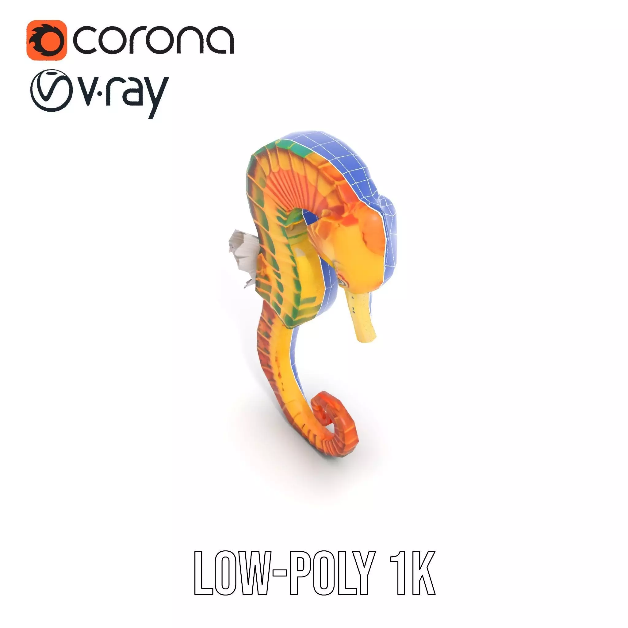 Vibrant Seahorse model pack Low-poly 3D model_16