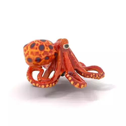 Vibrant Octopus model pack