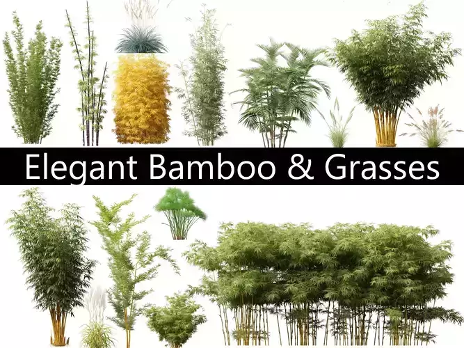 Elegant Bamboo Grasses Pack 33