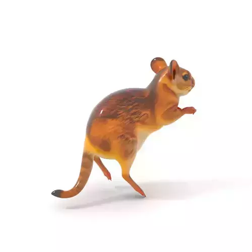 Bushy Tail Jerboa model pack Low-poly 3D model