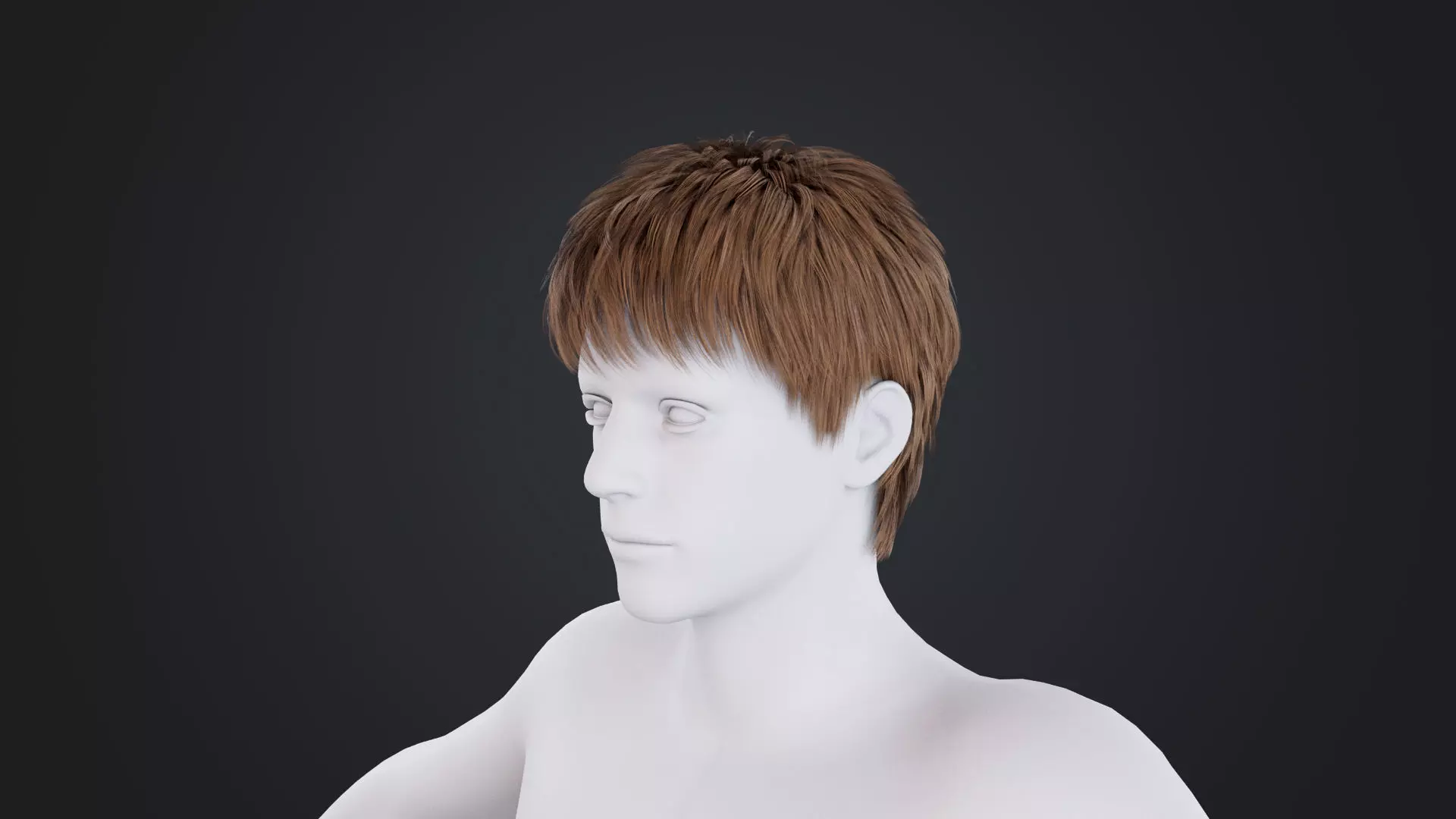 Realistic Male Hair Low-poly 3D model_1
