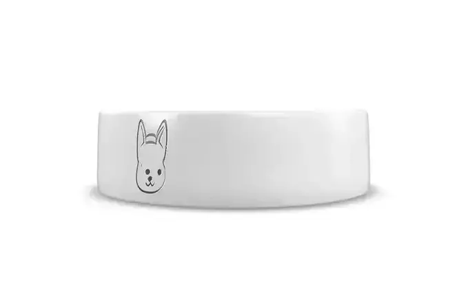 Pet Accessories Prop Low-poly 3D model 6