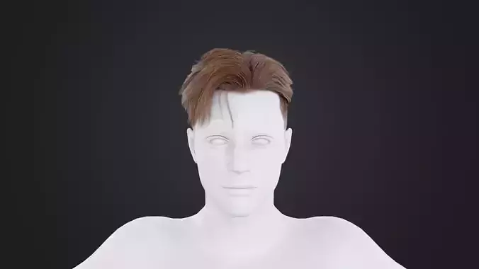 Realistic Male Hair